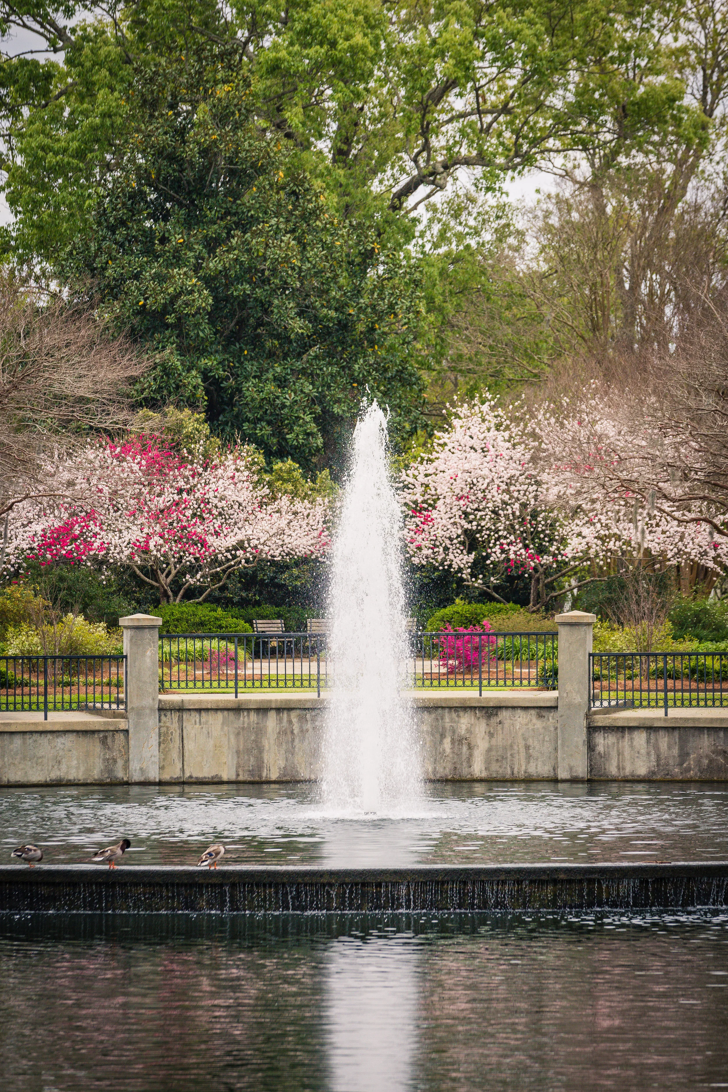 Hampton Park-0010.jpg