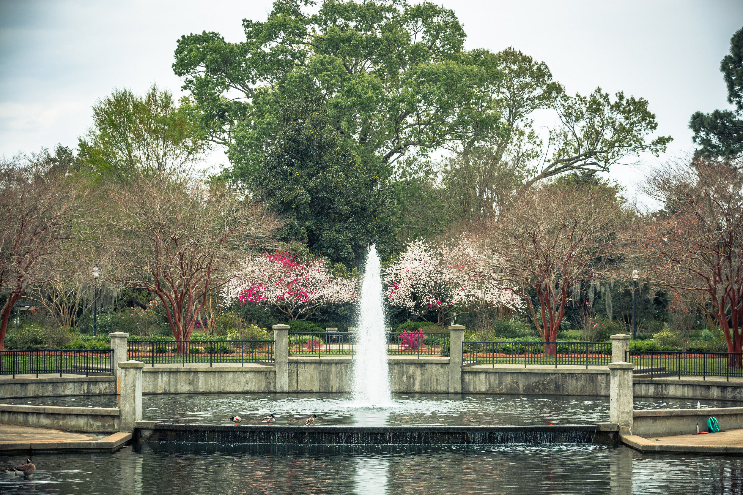 Hampton Park-0011.jpg