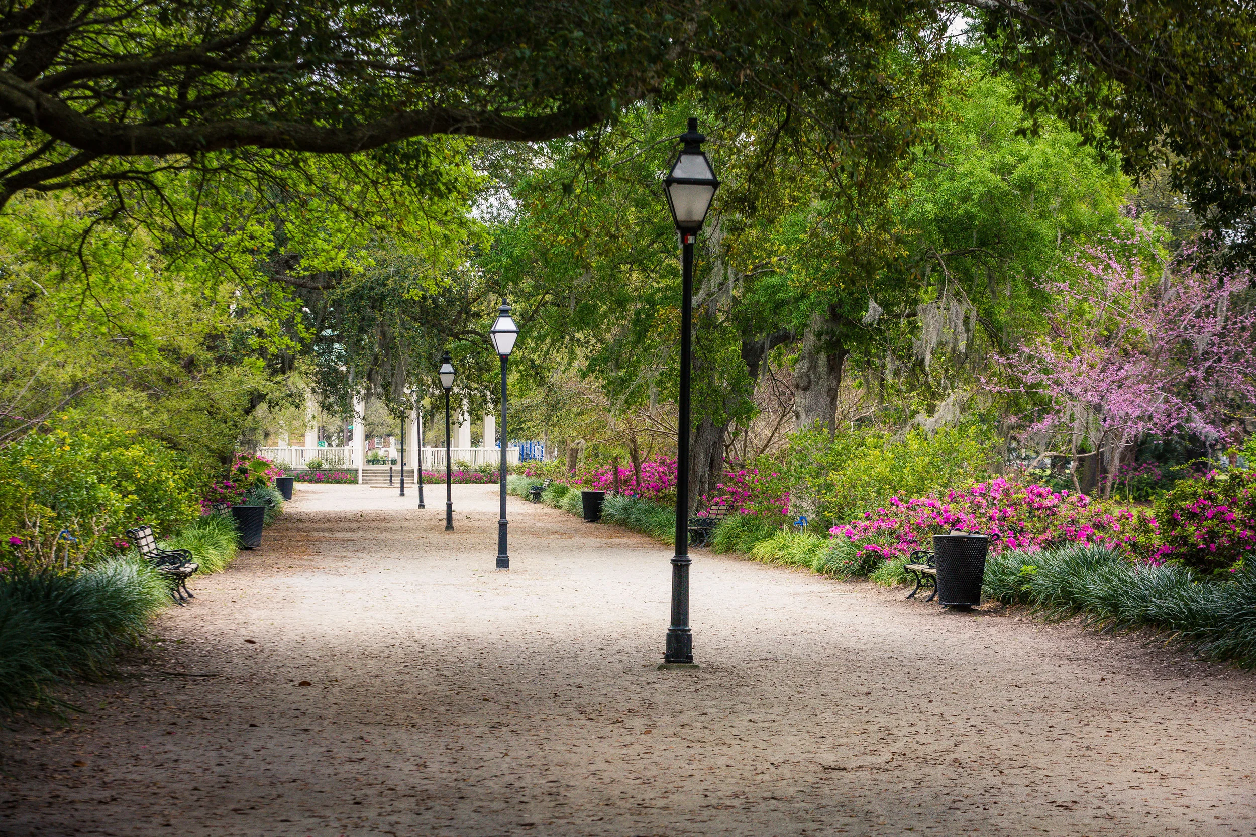 Hampton Park-0012.jpg