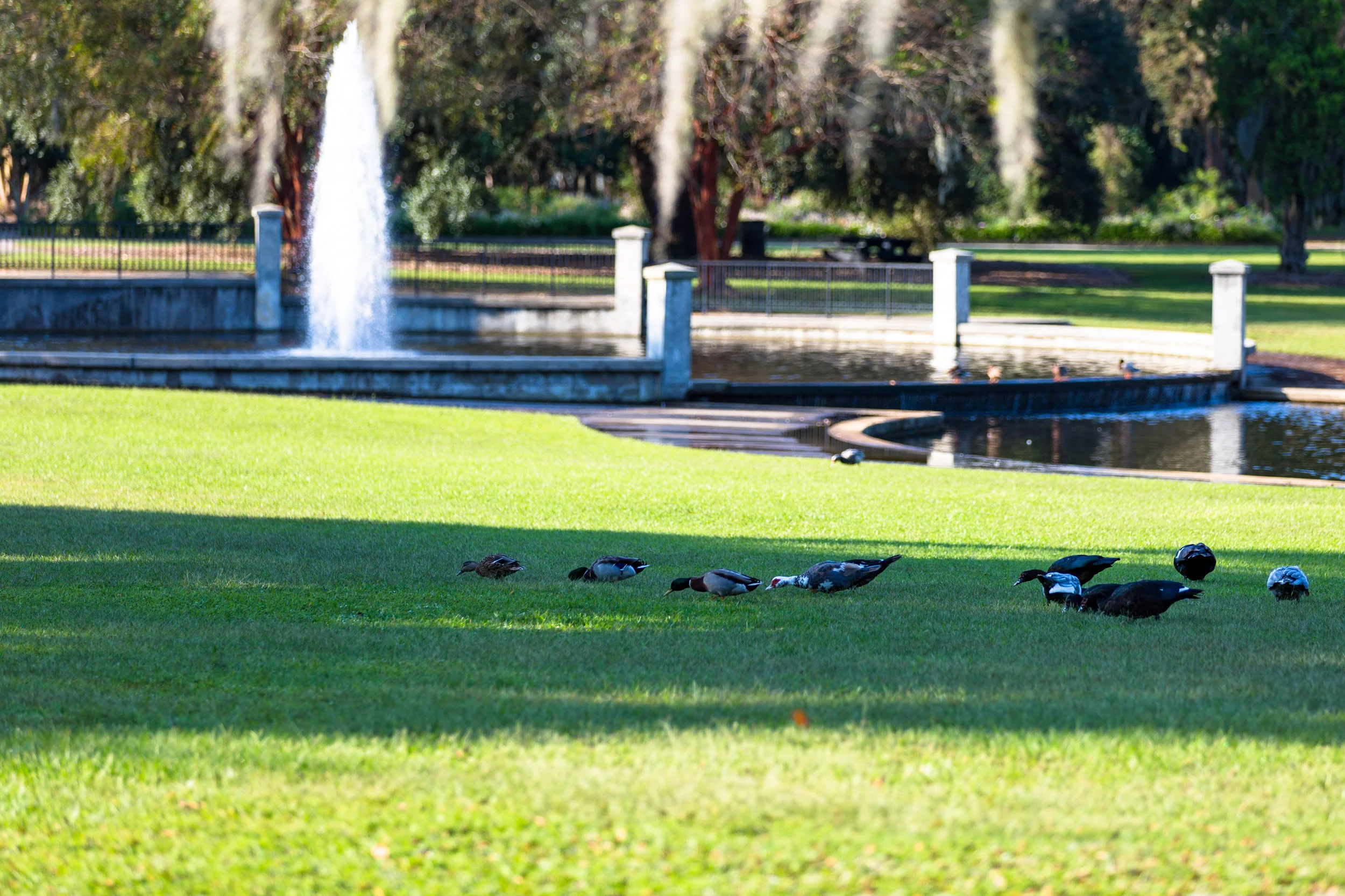 Hampton Park-0015.jpg