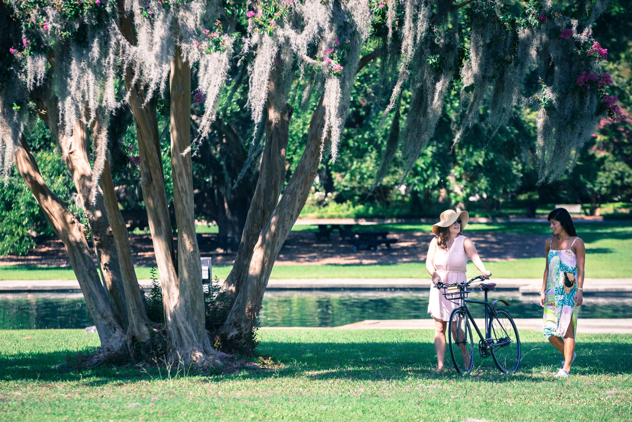 Hampton Park-0027.jpg