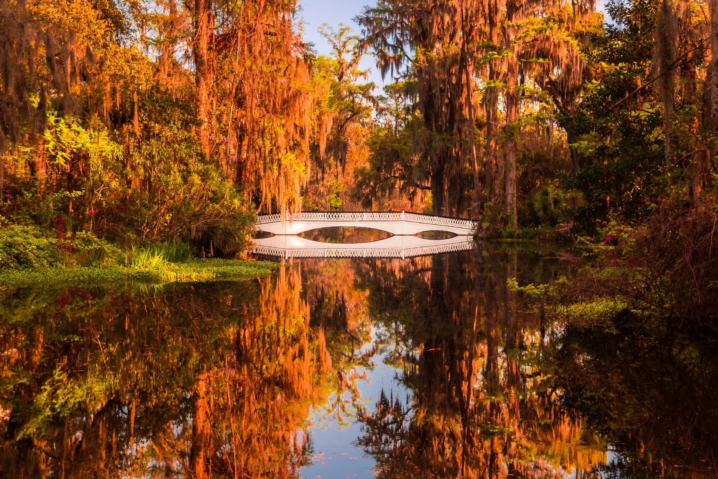 Magnolia Plantation-0001.jpg