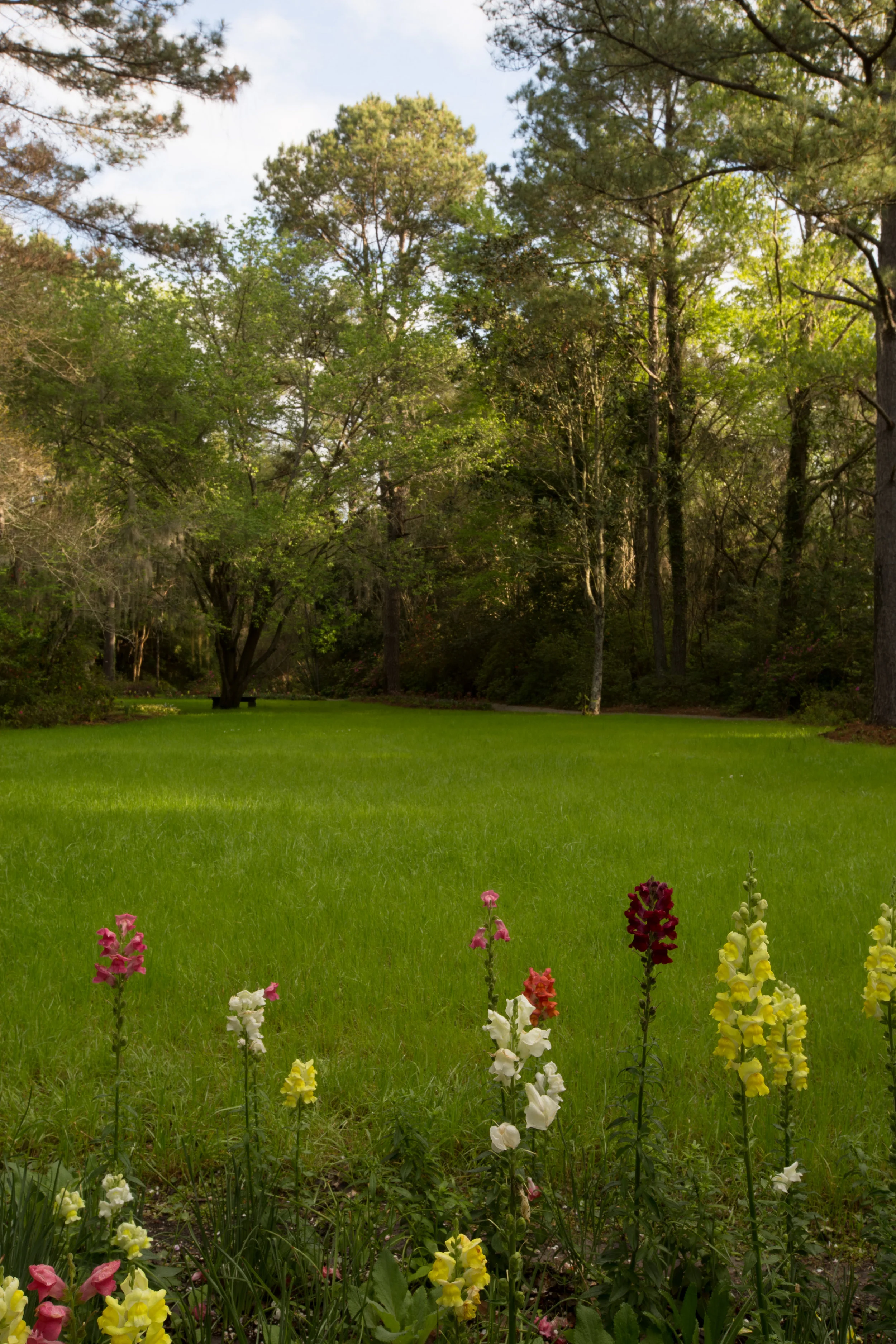 Magnolia Plantation-0006.jpg