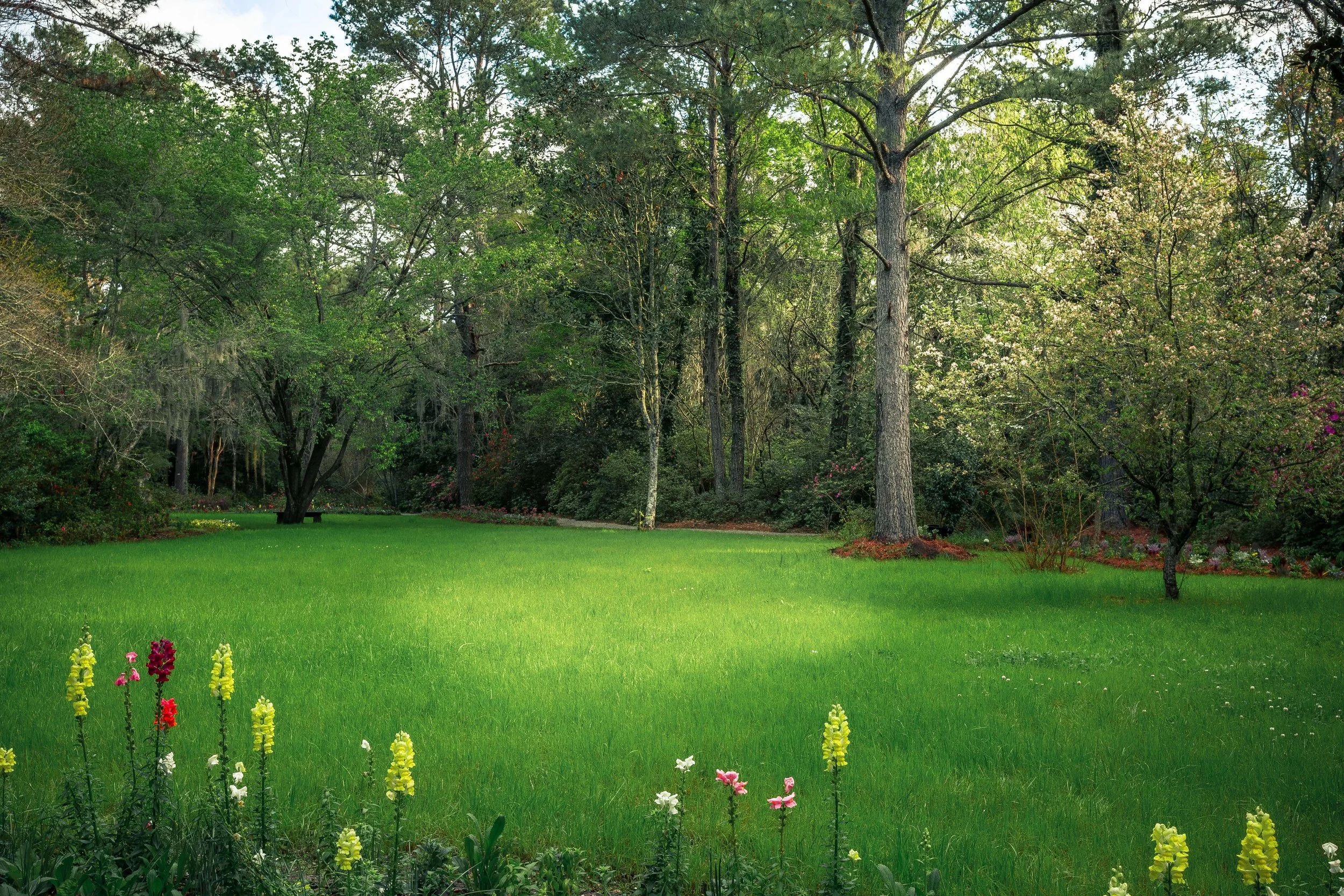 Magnolia Plantation-0005.jpg