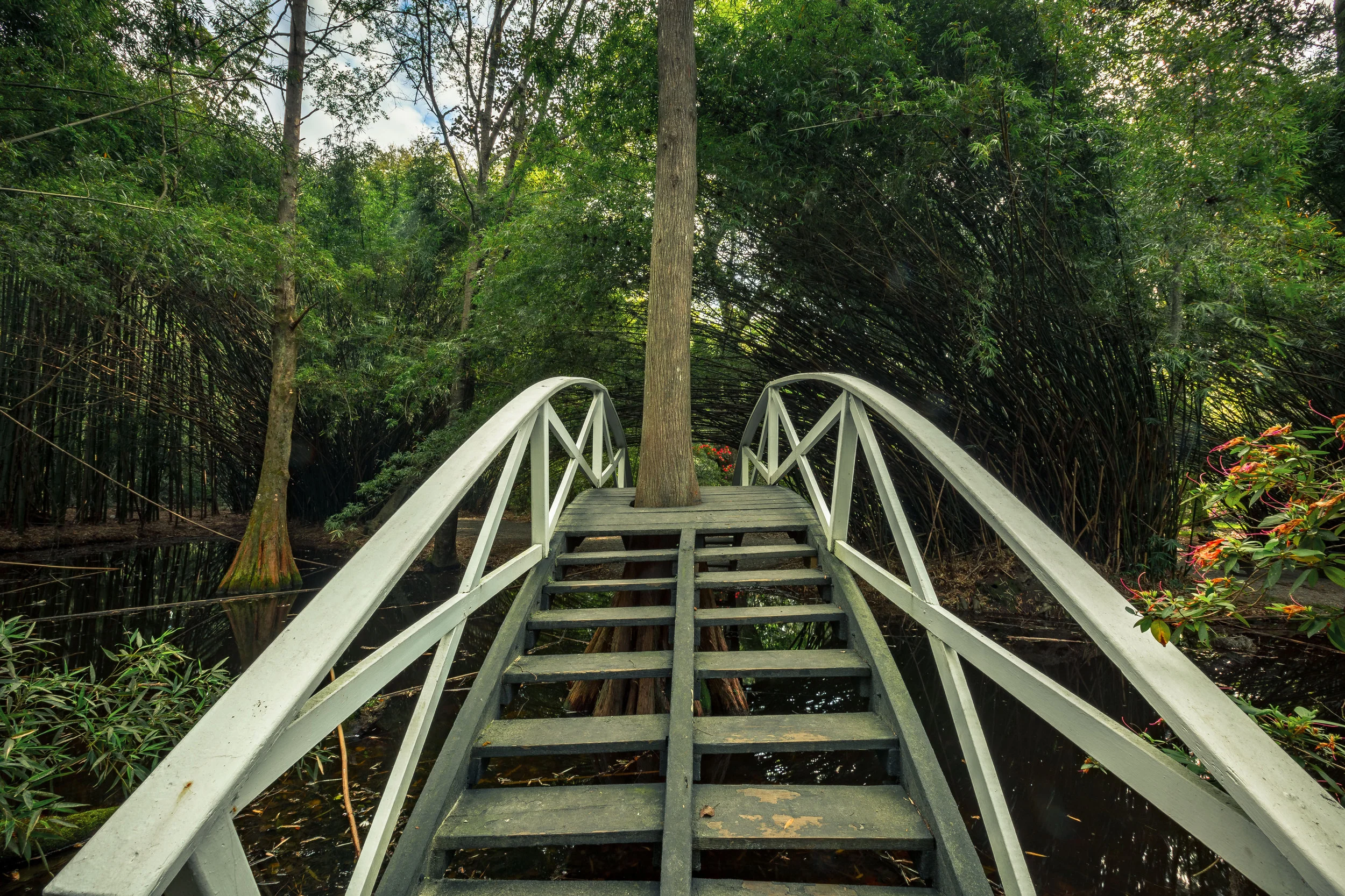 Magnolia Plantation-0007.jpg