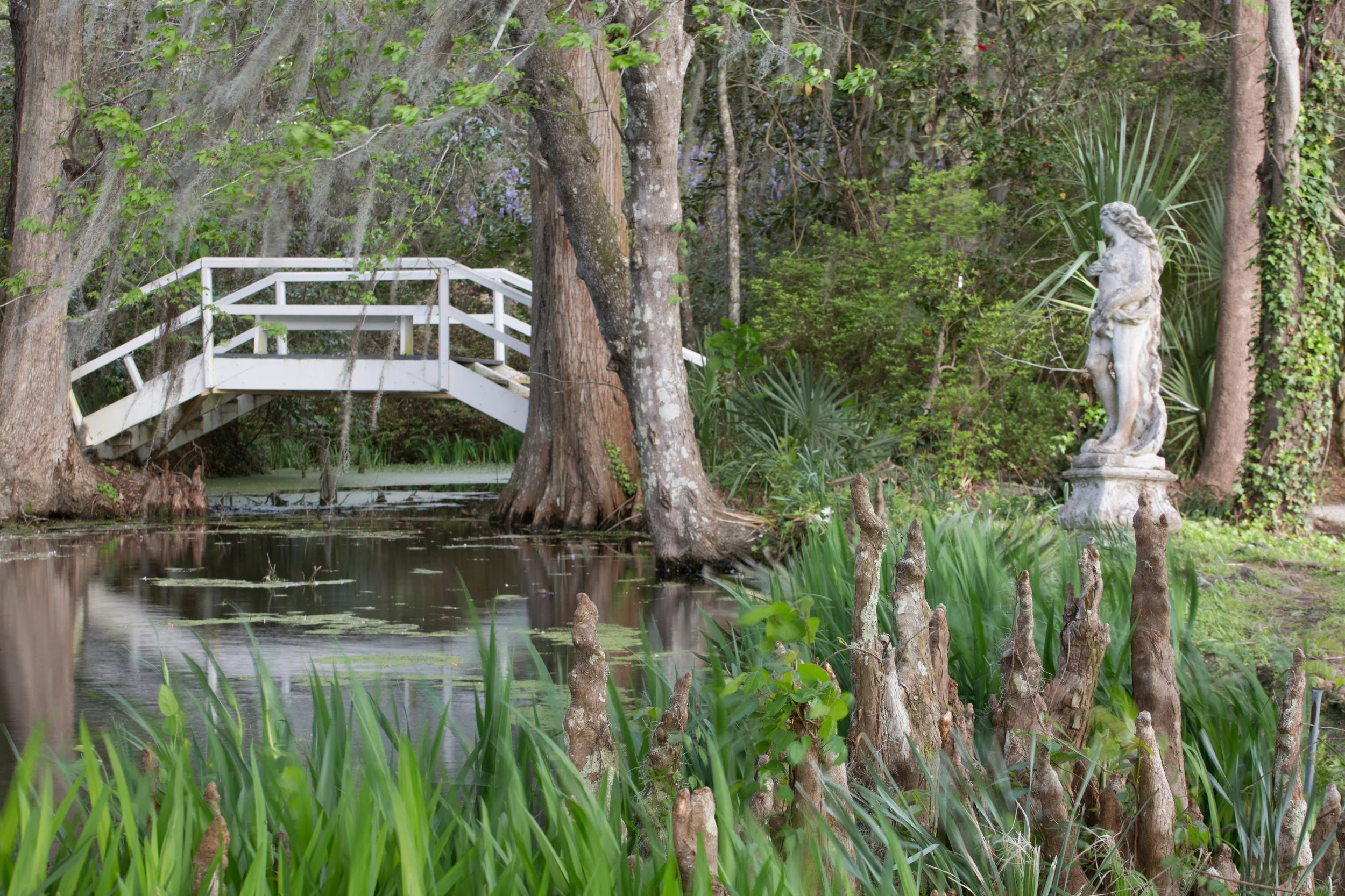 Magnolia Plantation-0017.jpg