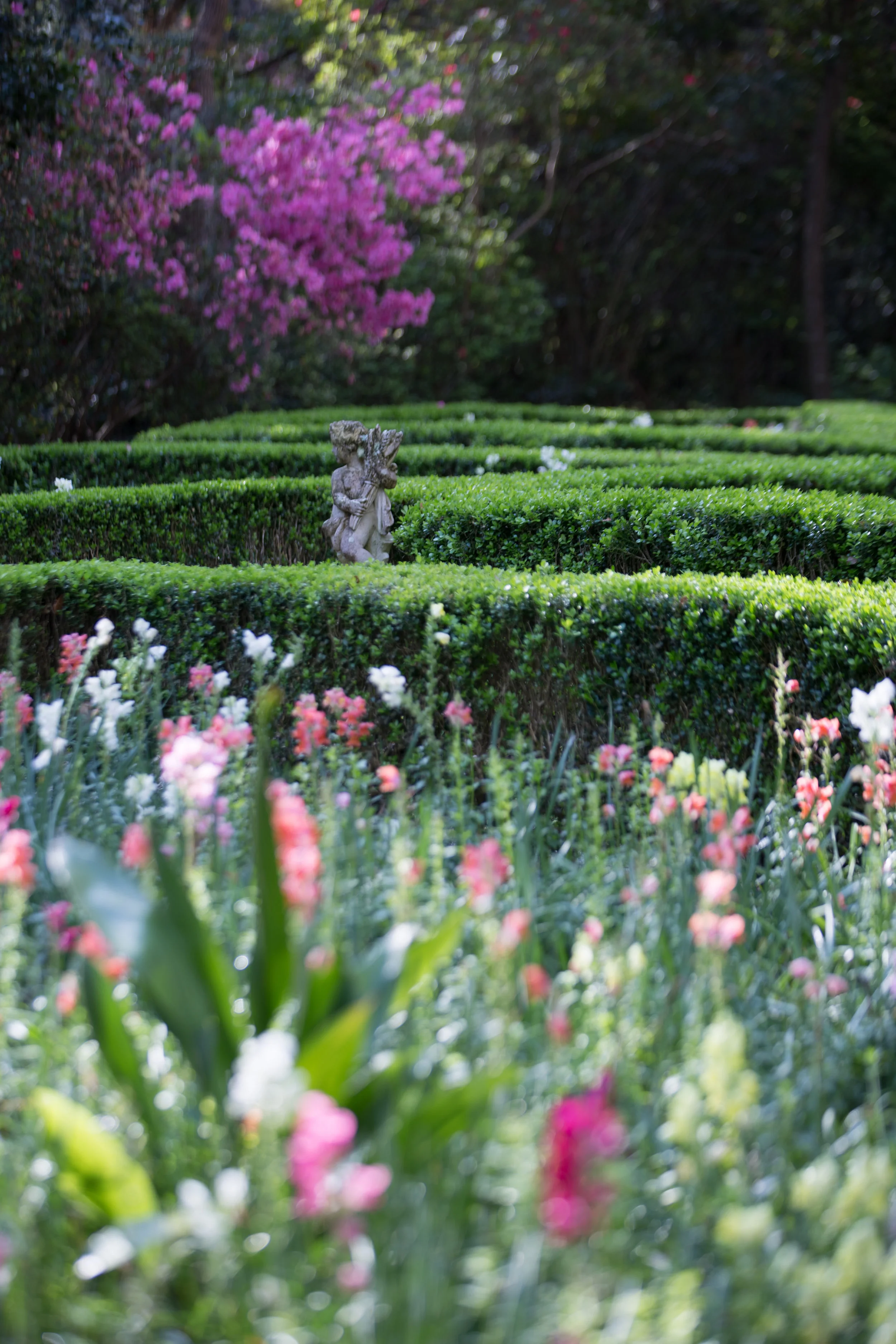 Magnolia Plantation-0020.jpg