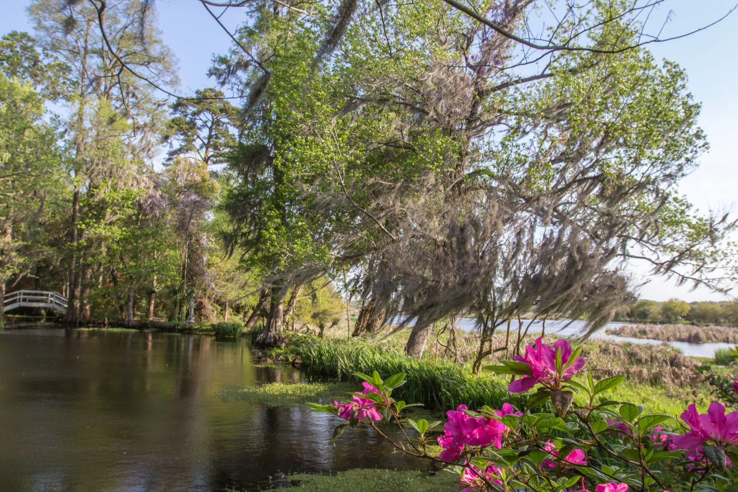 Magnolia Plantation-0033.jpg