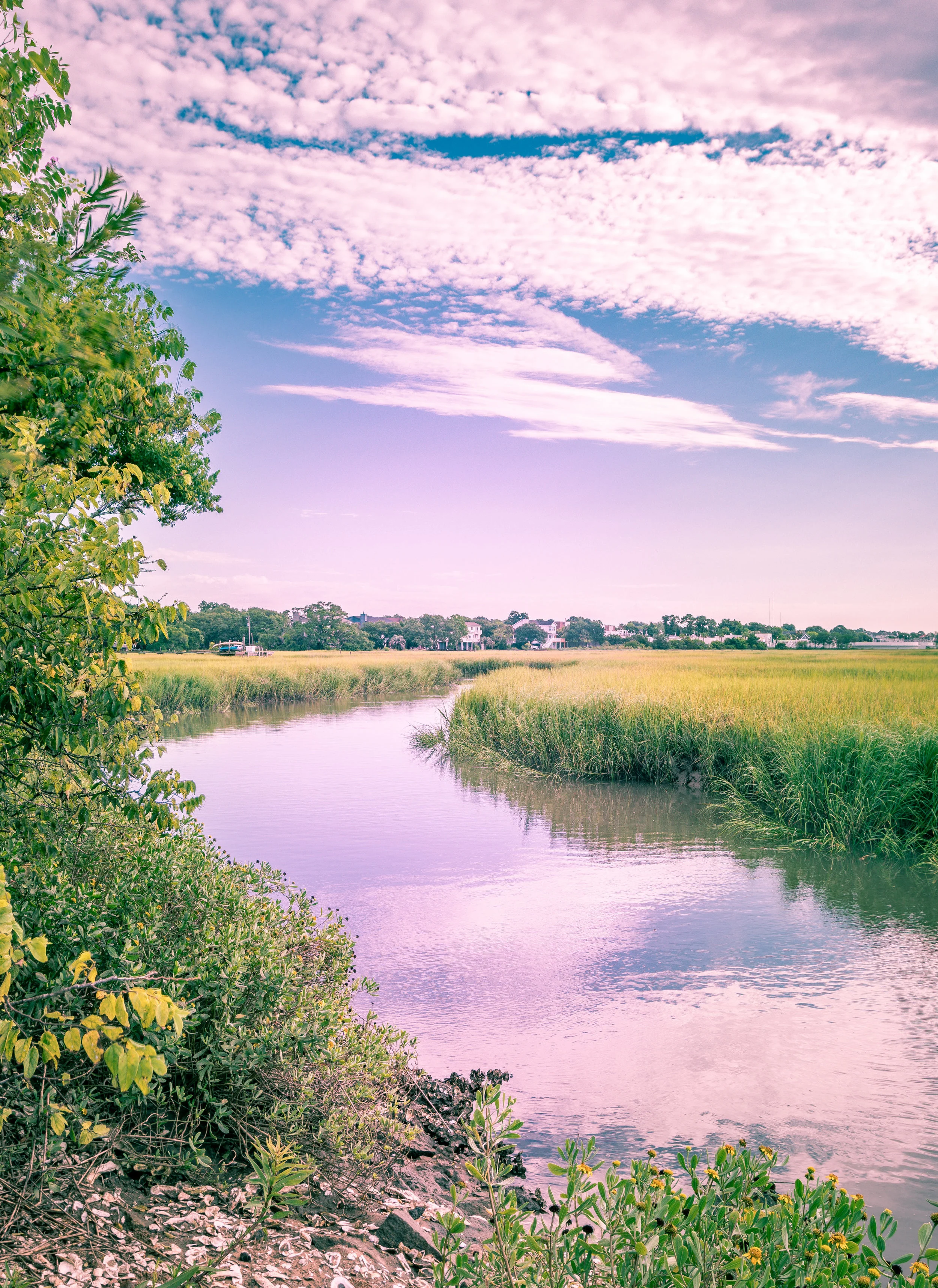 Nature-0007.jpg