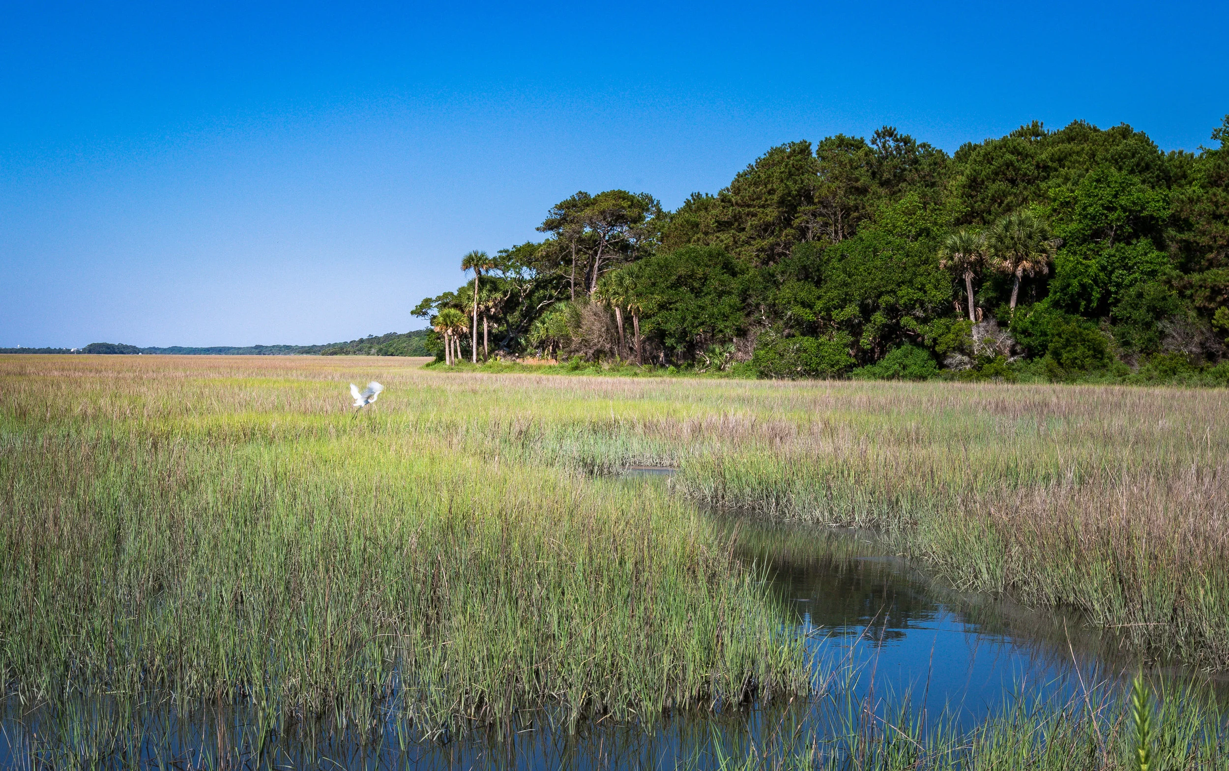 Nature-0014.jpg