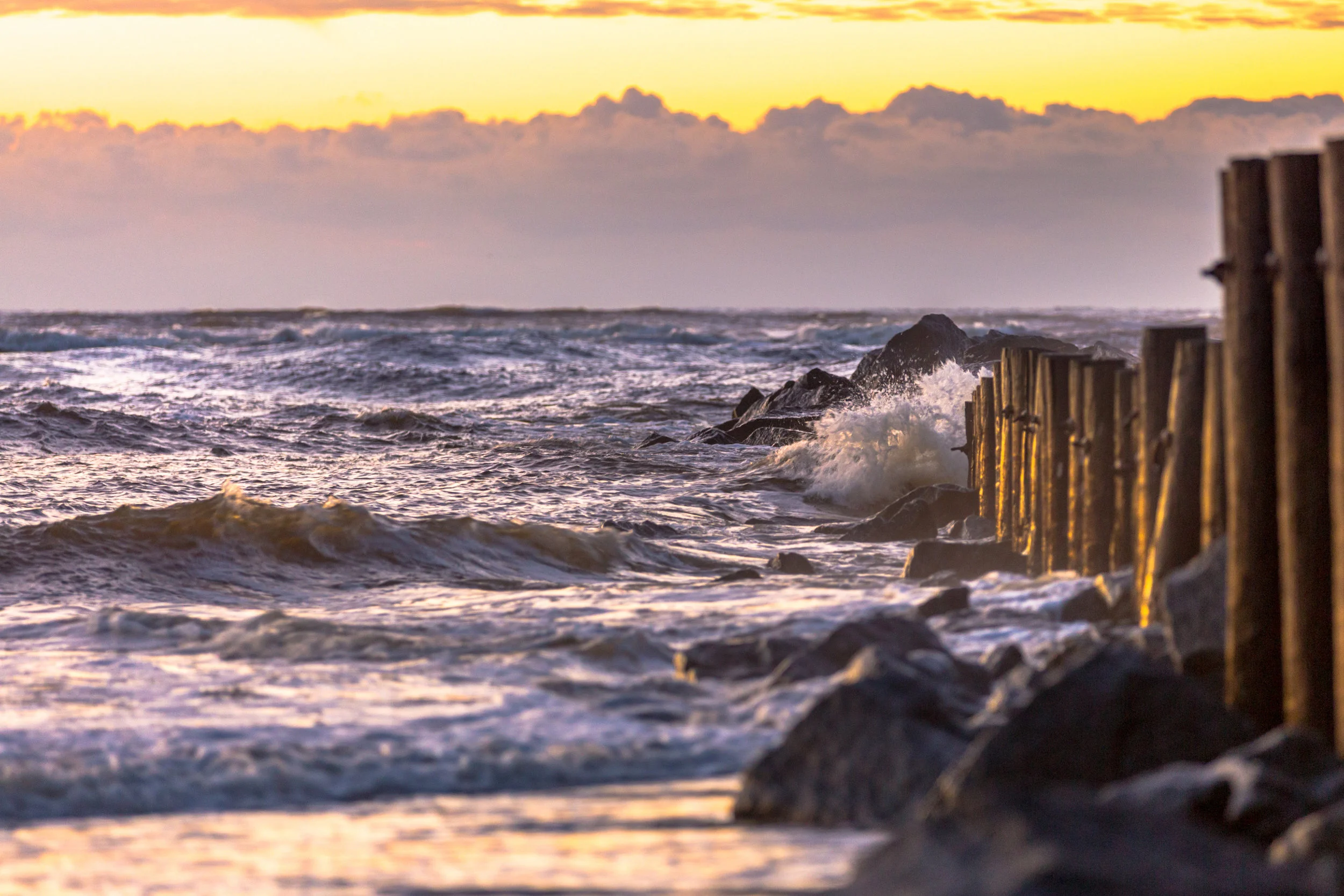 Nature-0016.jpg