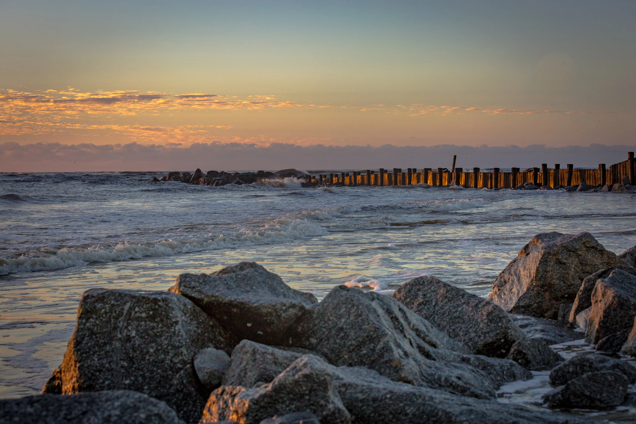 Nature-0020.jpg