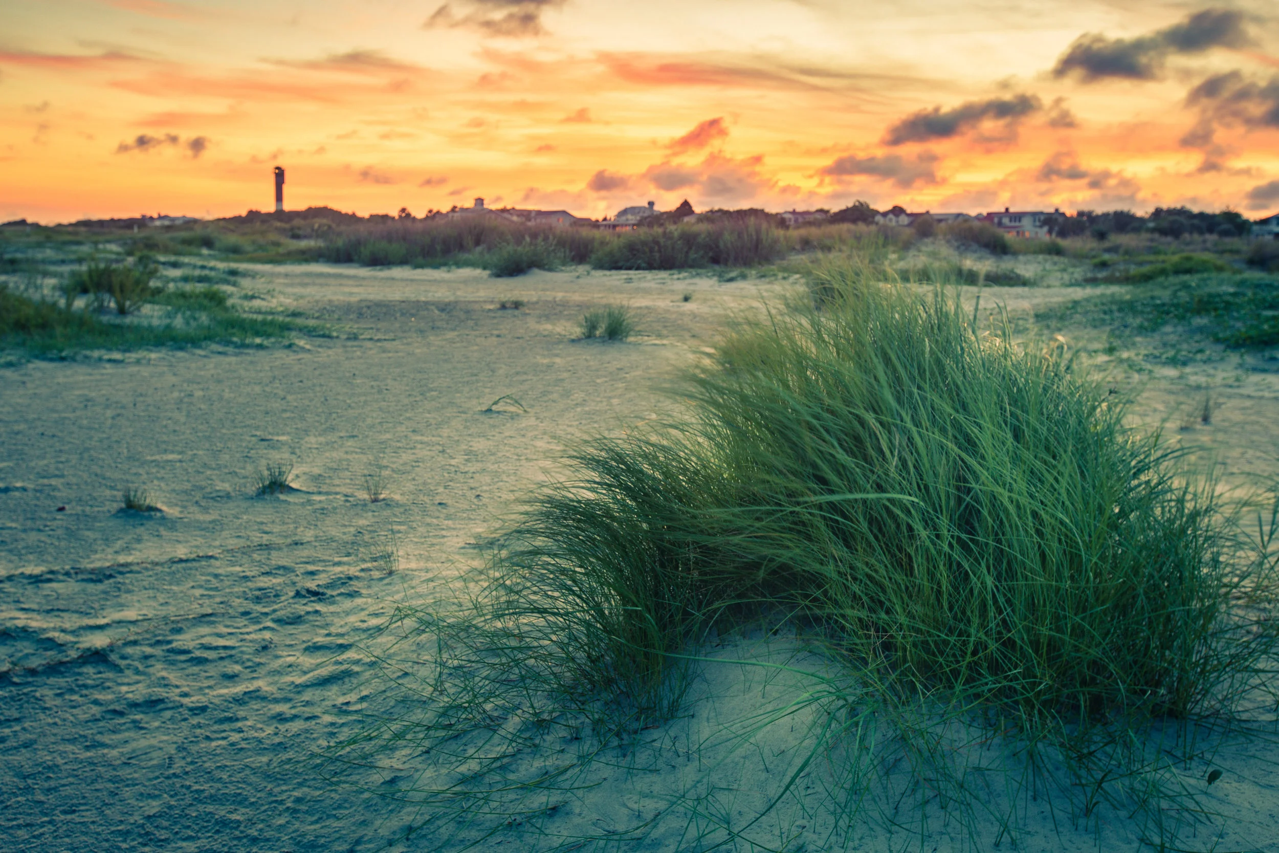 Beach-0003.jpg