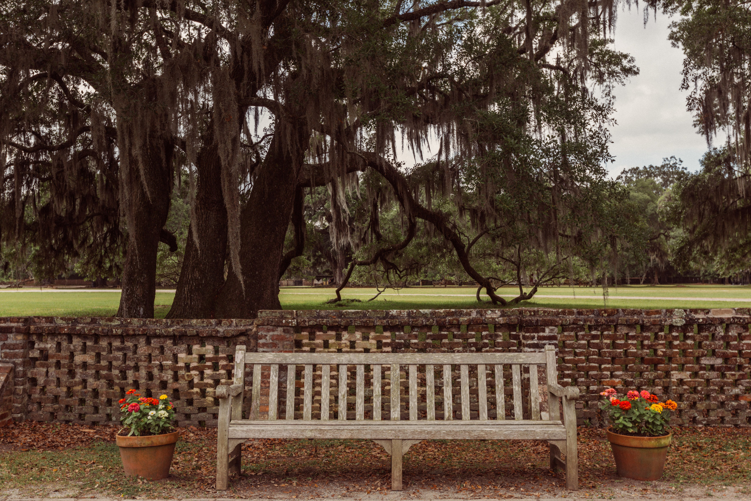 Middleton Place-0001.jpg