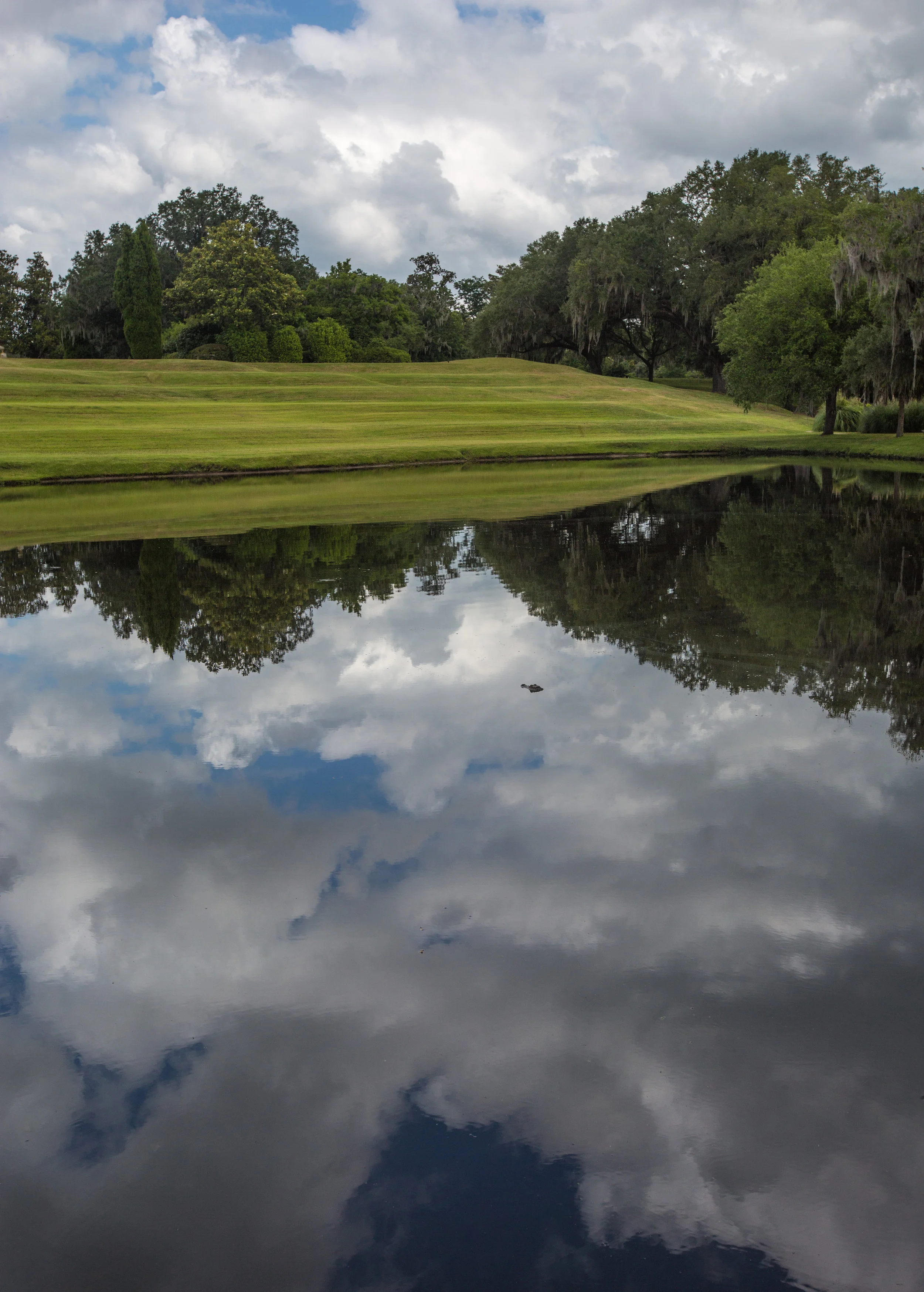 Middleton Place-0008.jpg