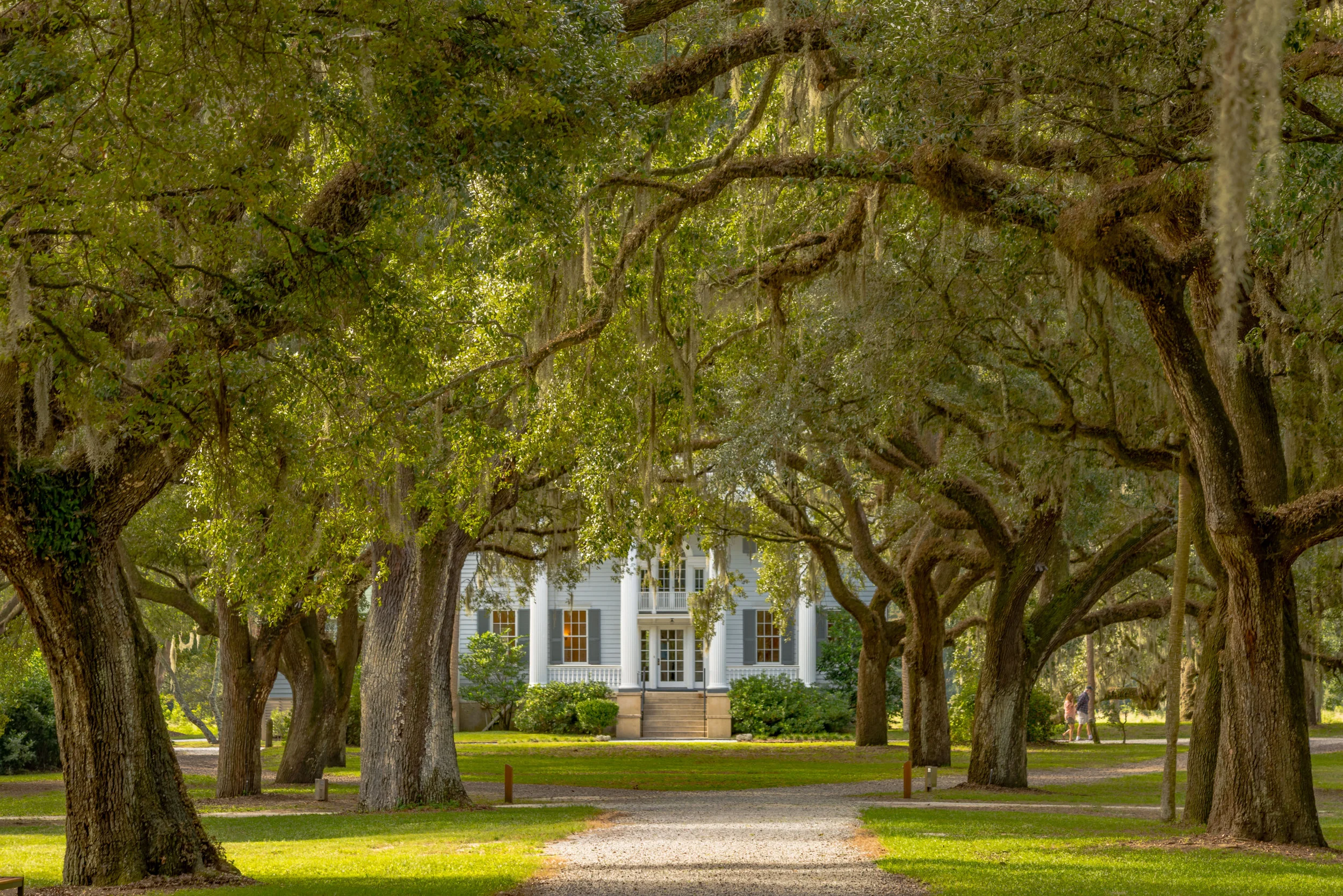 Mcleod Plantation-0003.jpg