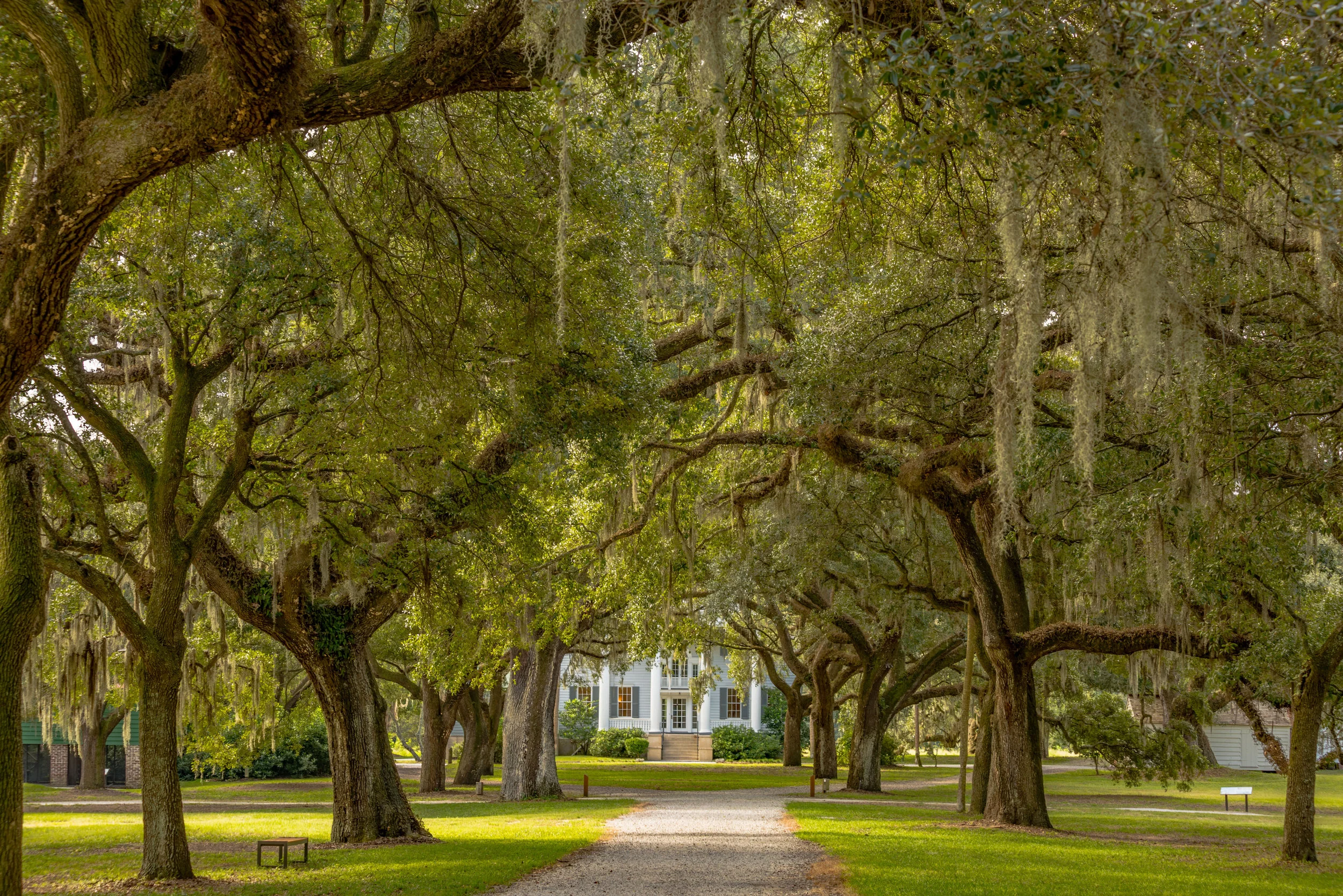 Mcleod Plantation-0004.jpg