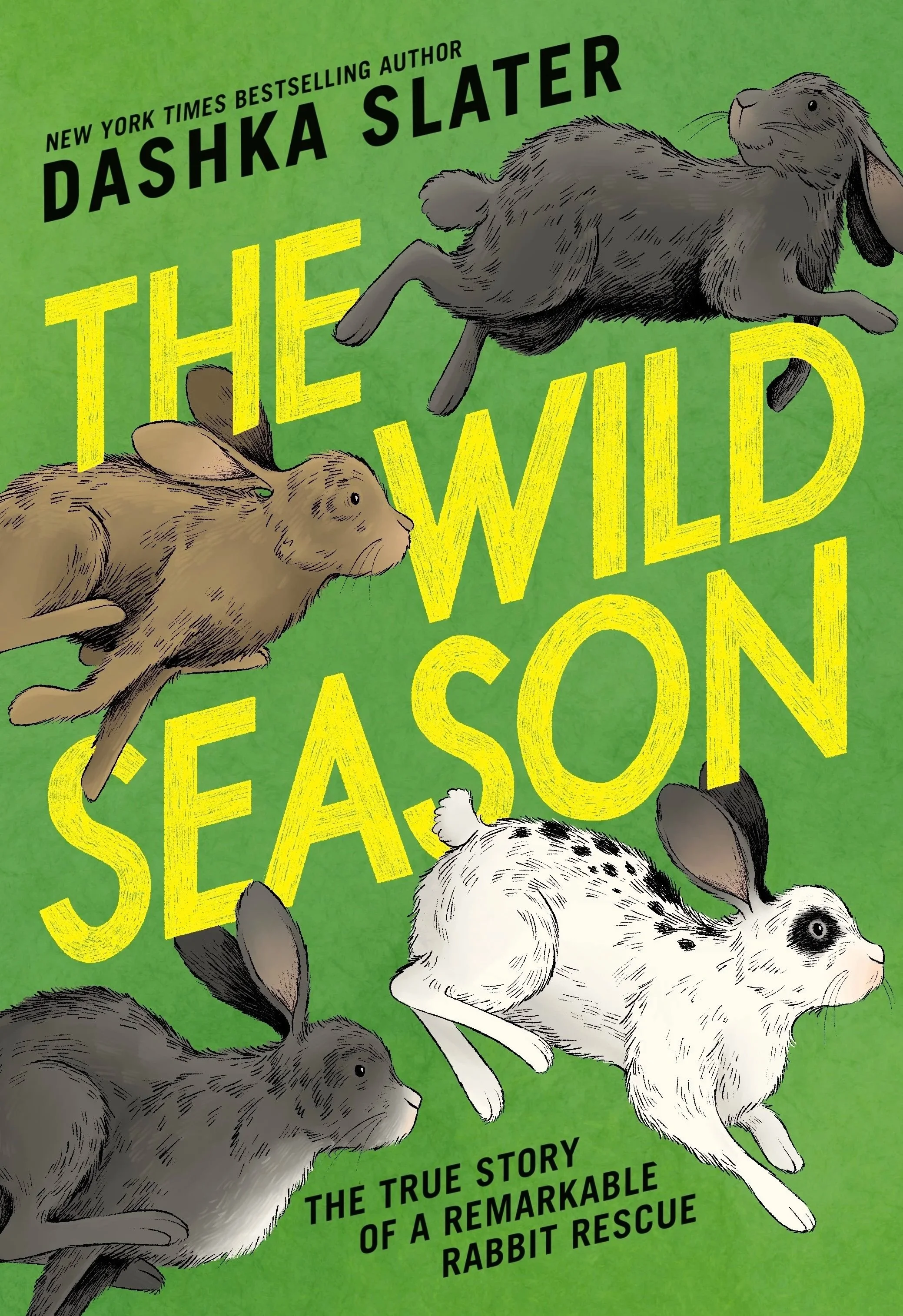 The Wild Season, Book Cover Illustration, Little Brown 2026