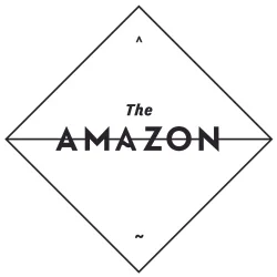 The Amazon_Logo_250PX.jpg