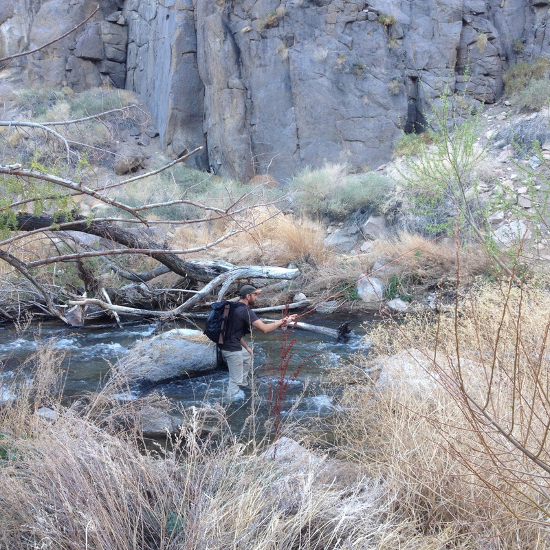 Jason throwing small dries for wild Brown Trout.