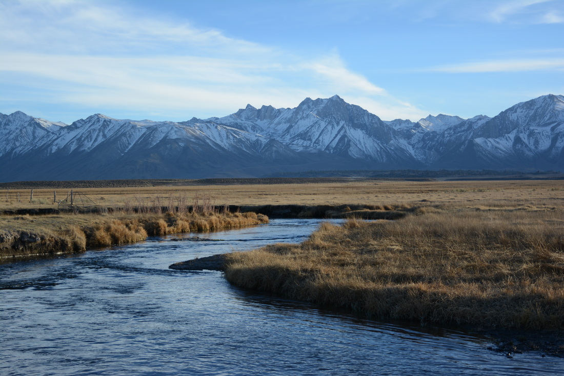 Late winter on the Upper Owens River.