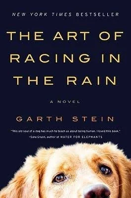 the art of racing in the rain book.jpeg