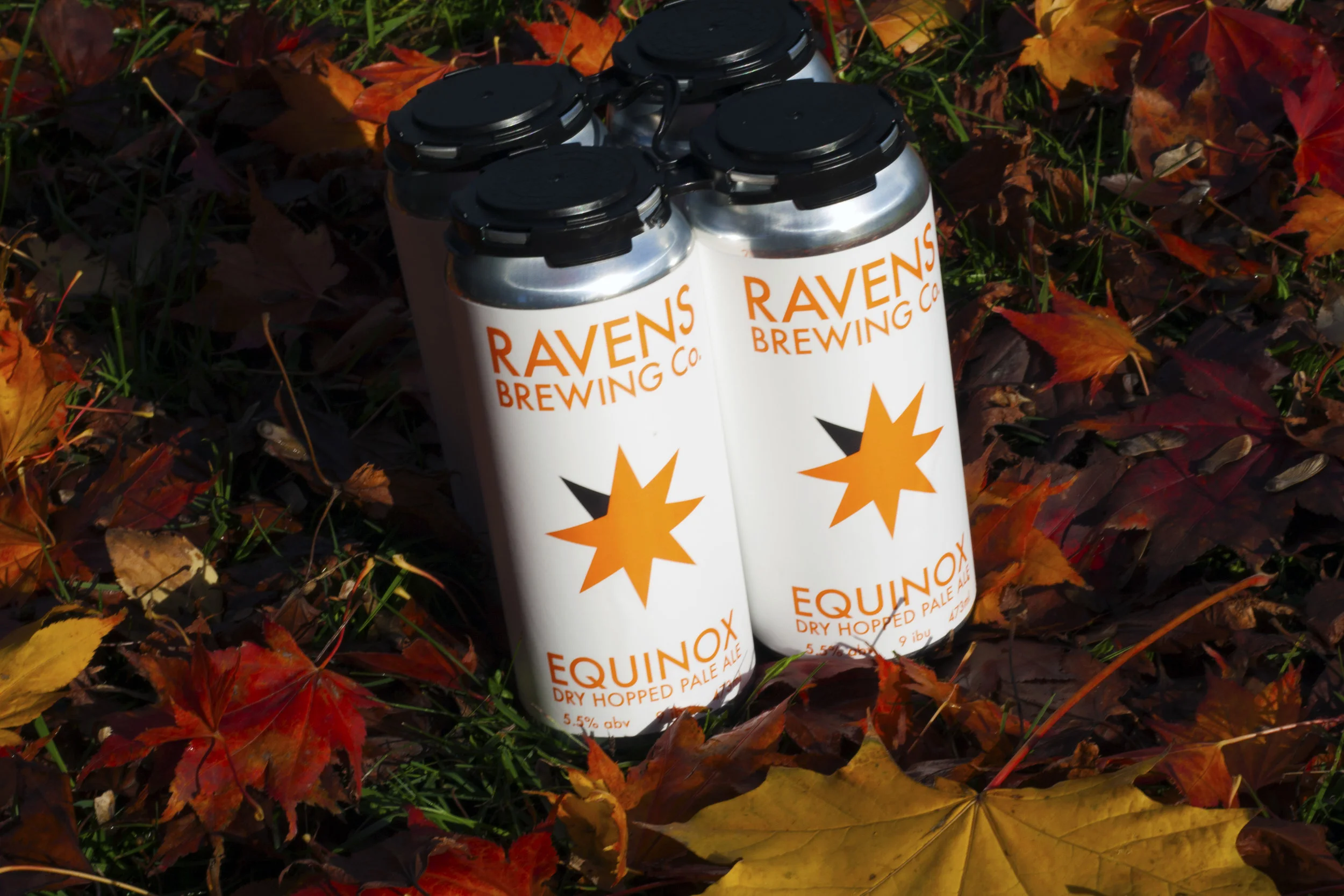 Equinox 4 pack.jpg
