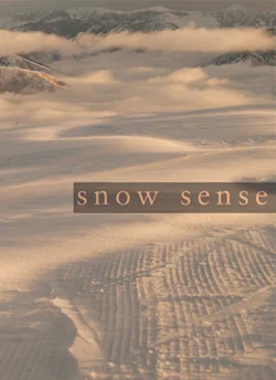 snowsense.jpg