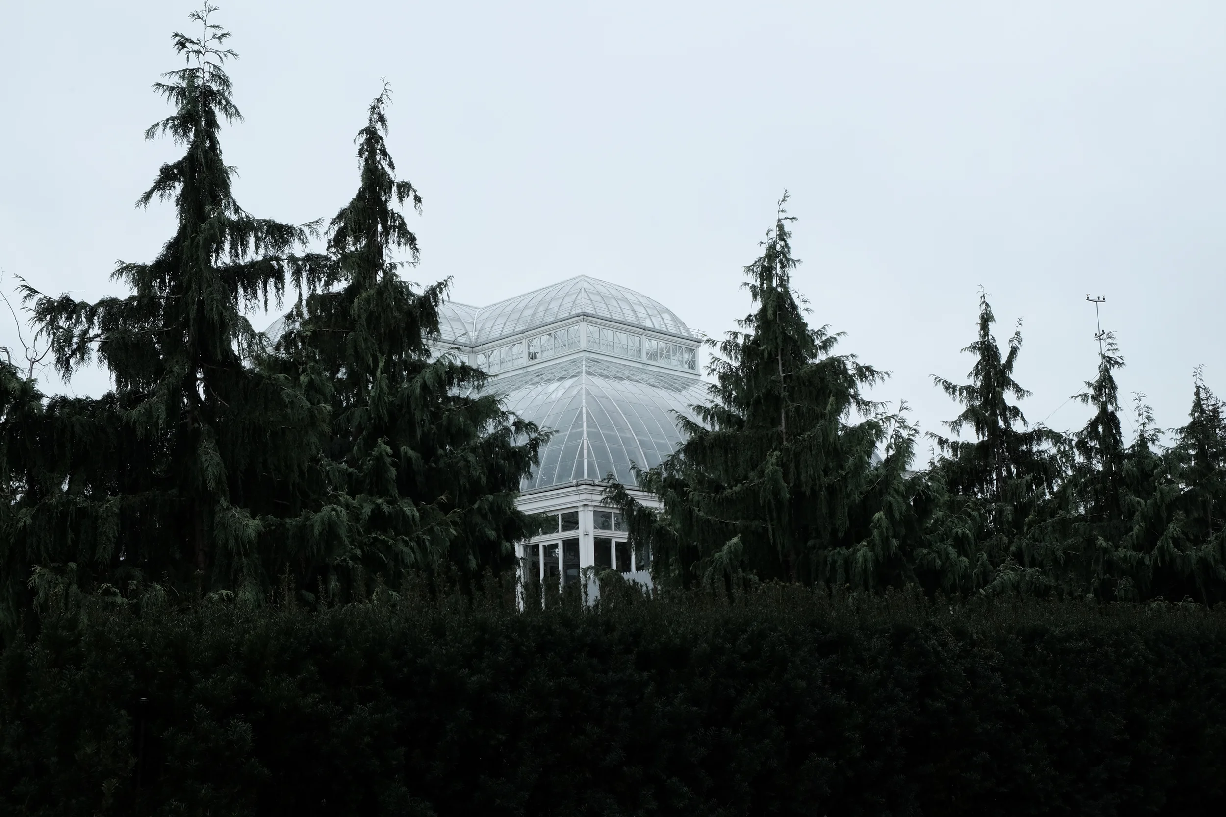 New York Botanical Garden - Bronx, NY