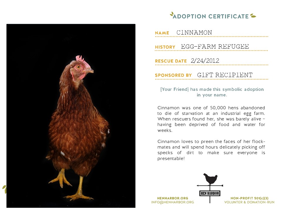 Adoption Certificate Cinnamon SAMPLE.jpg