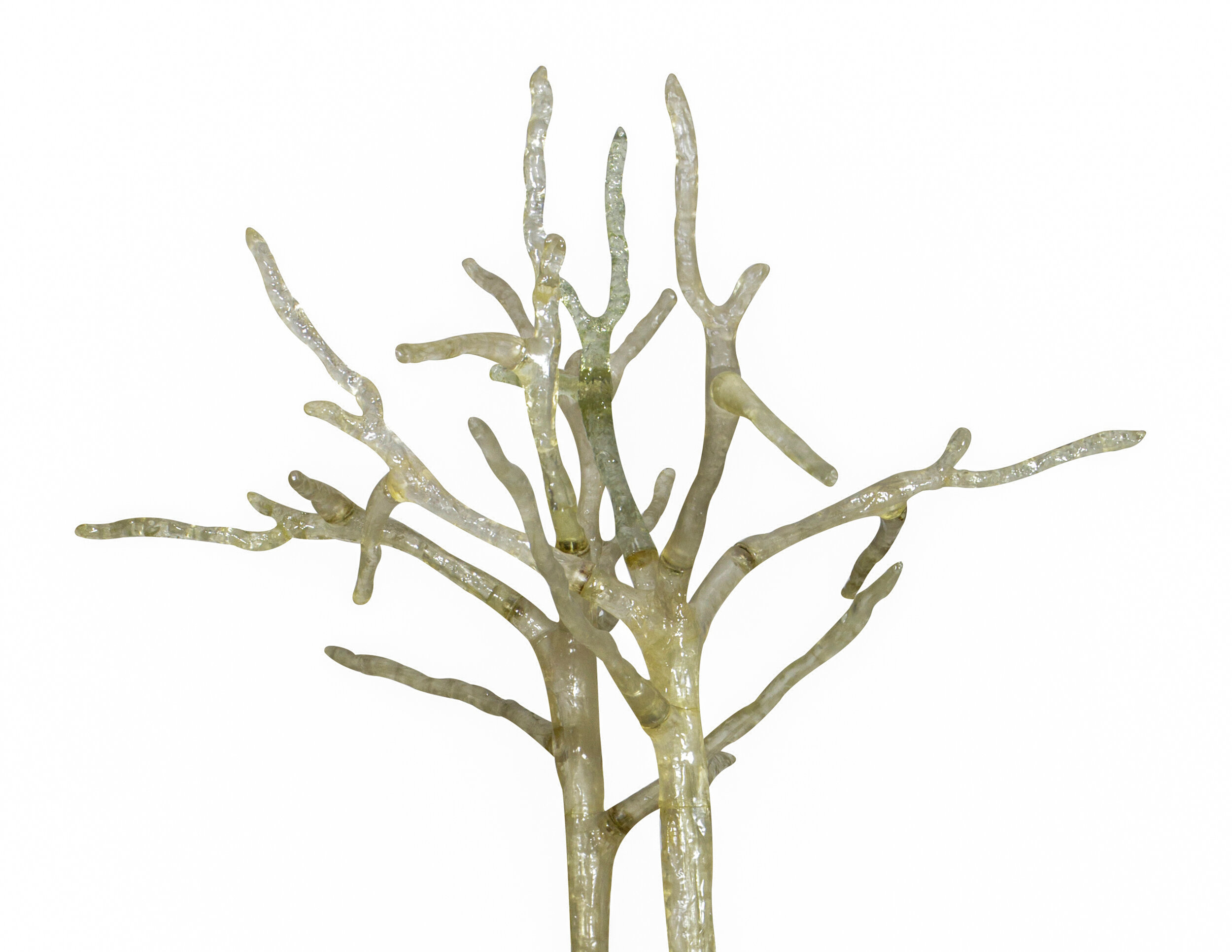 Aspen Tree Fiberglass with Planter 2.jpg