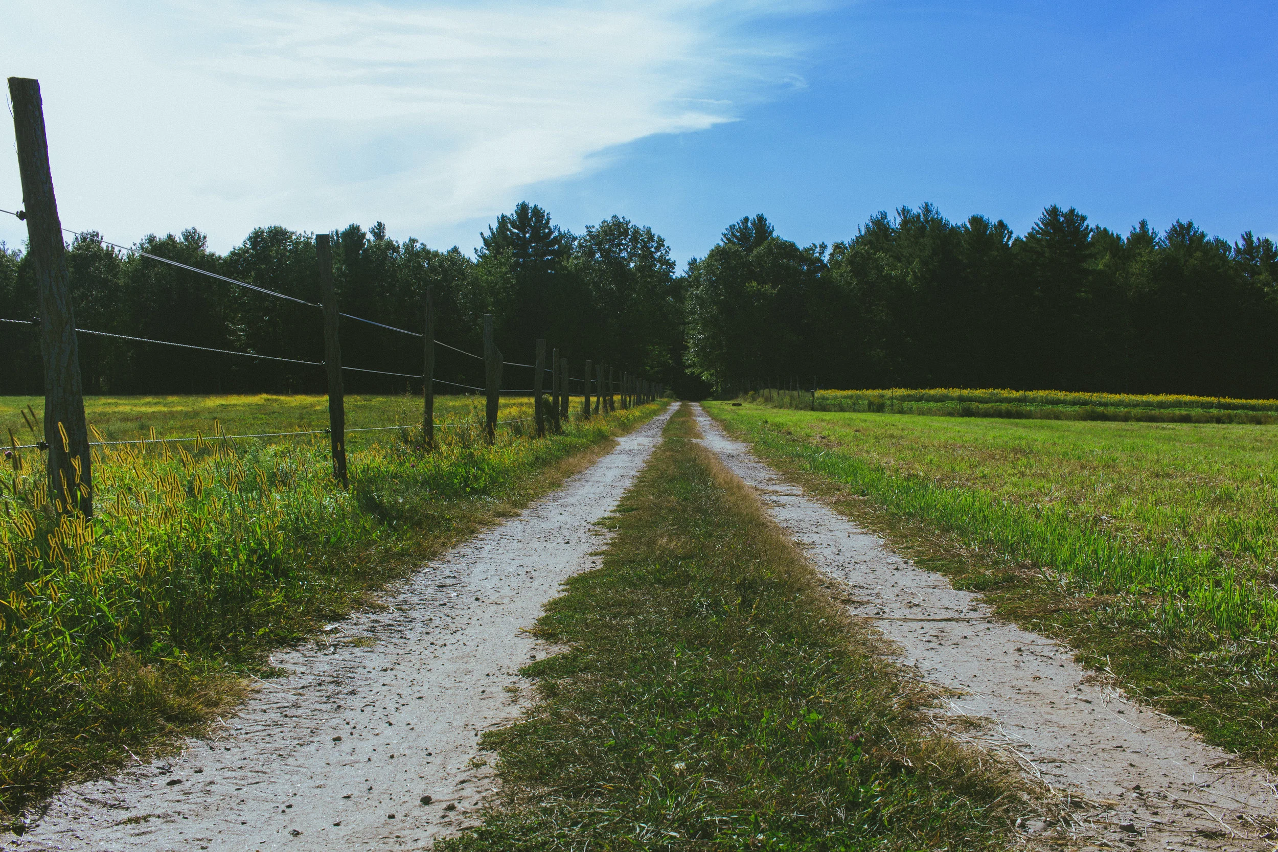Country road wide_.jpg
