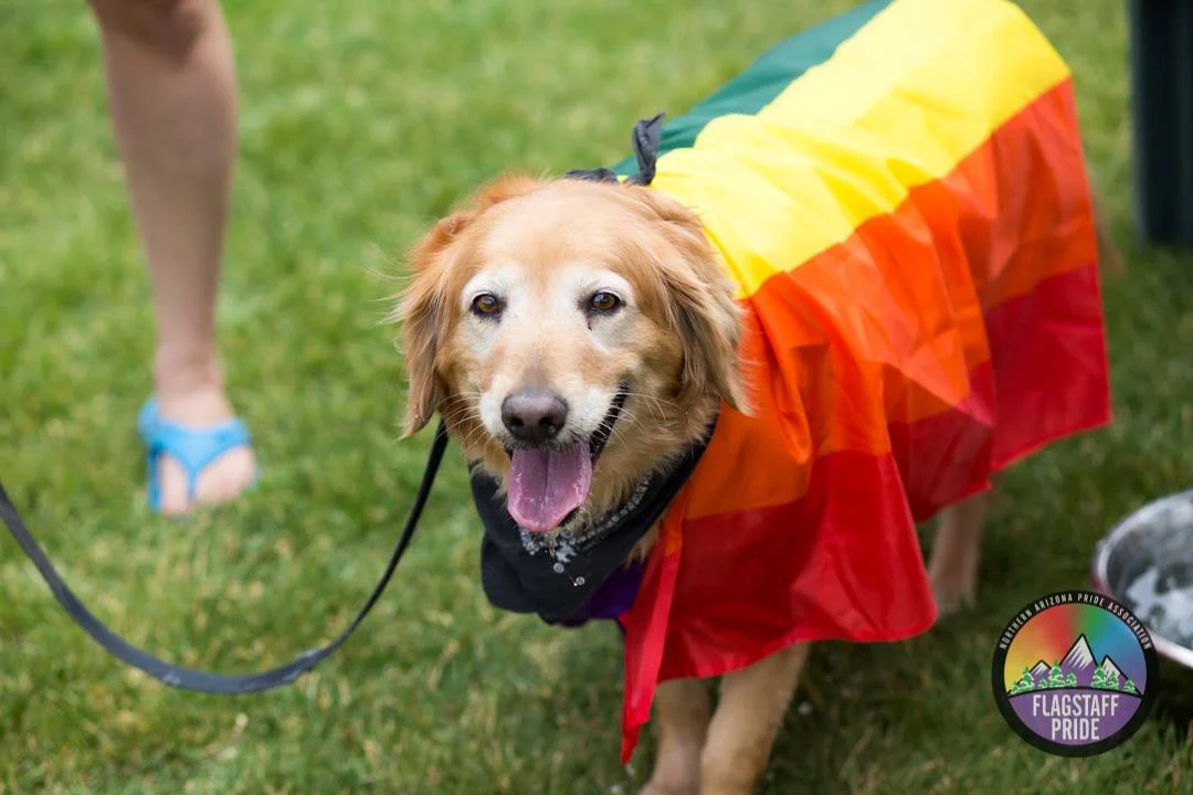 Pride in the Pines