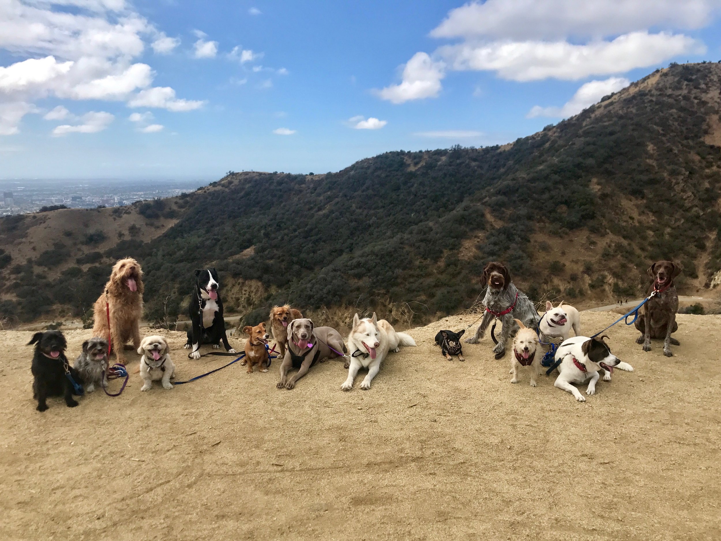 hike pic.jpg