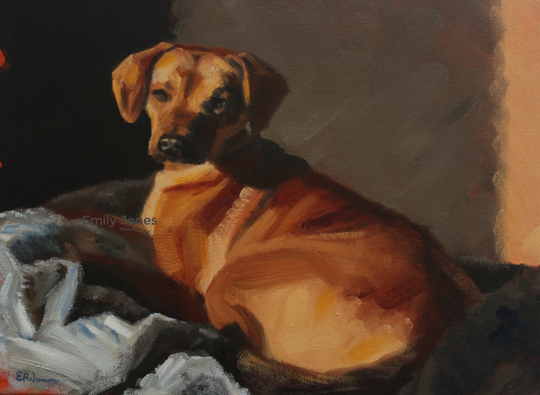 Dog Times | 2016 | Oil on canvas