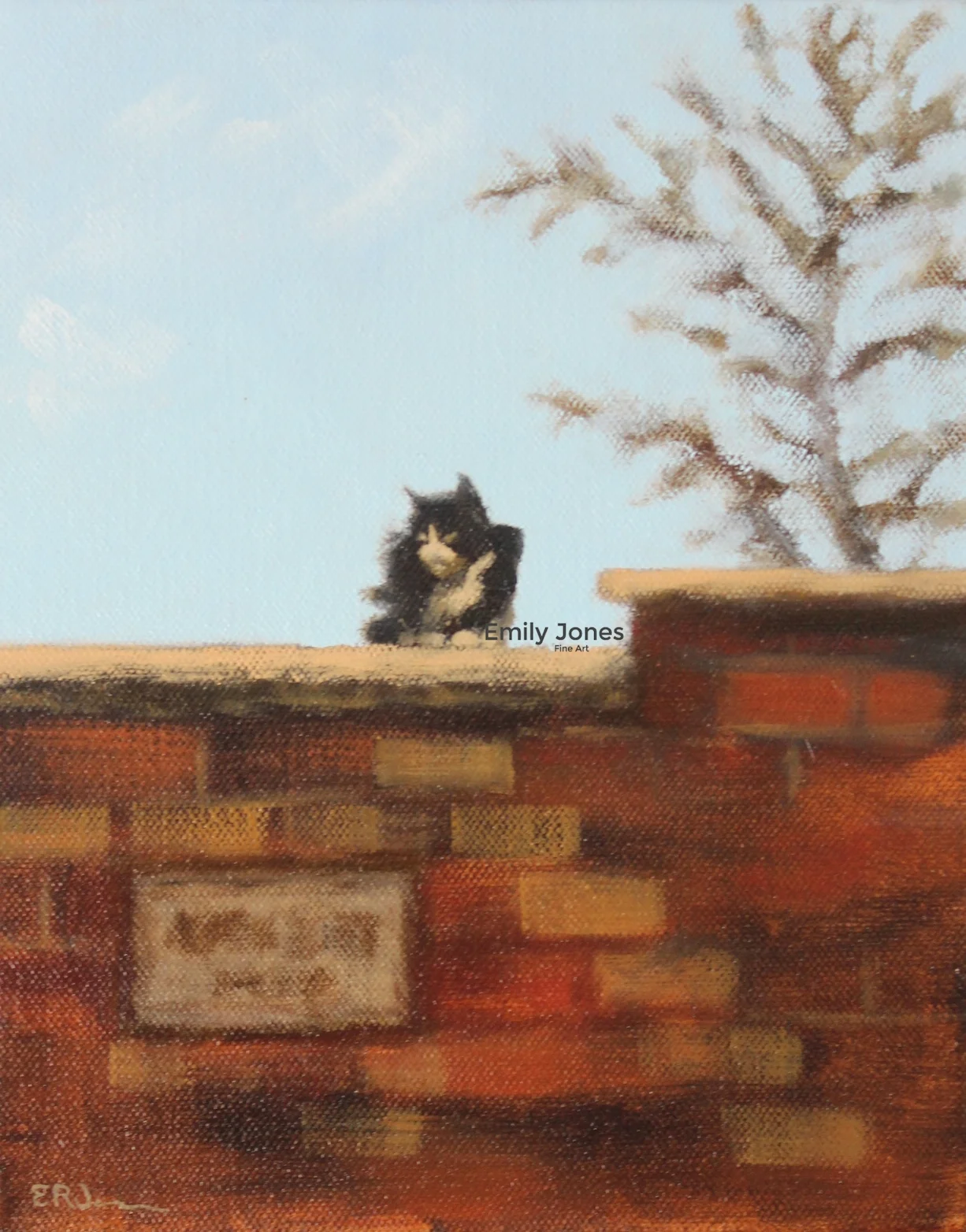 Brockley Cat | 2016 | Oil on canvas | 25 x 20cm Cluster C