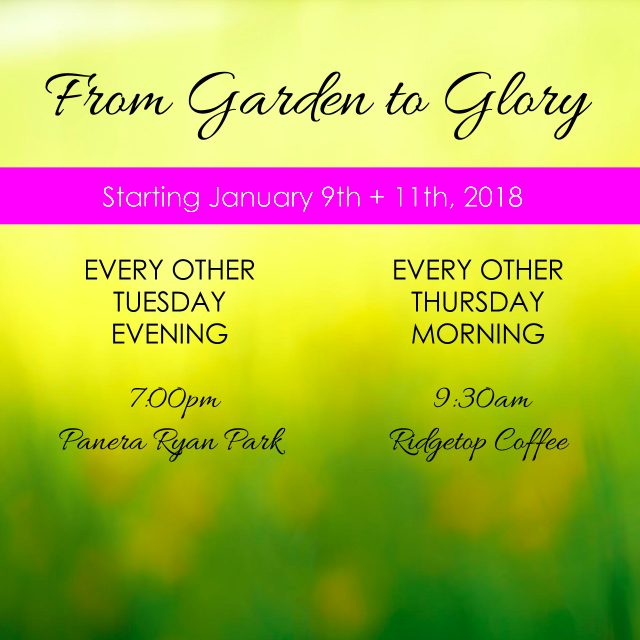 Spring 2018 women's Bible study.png