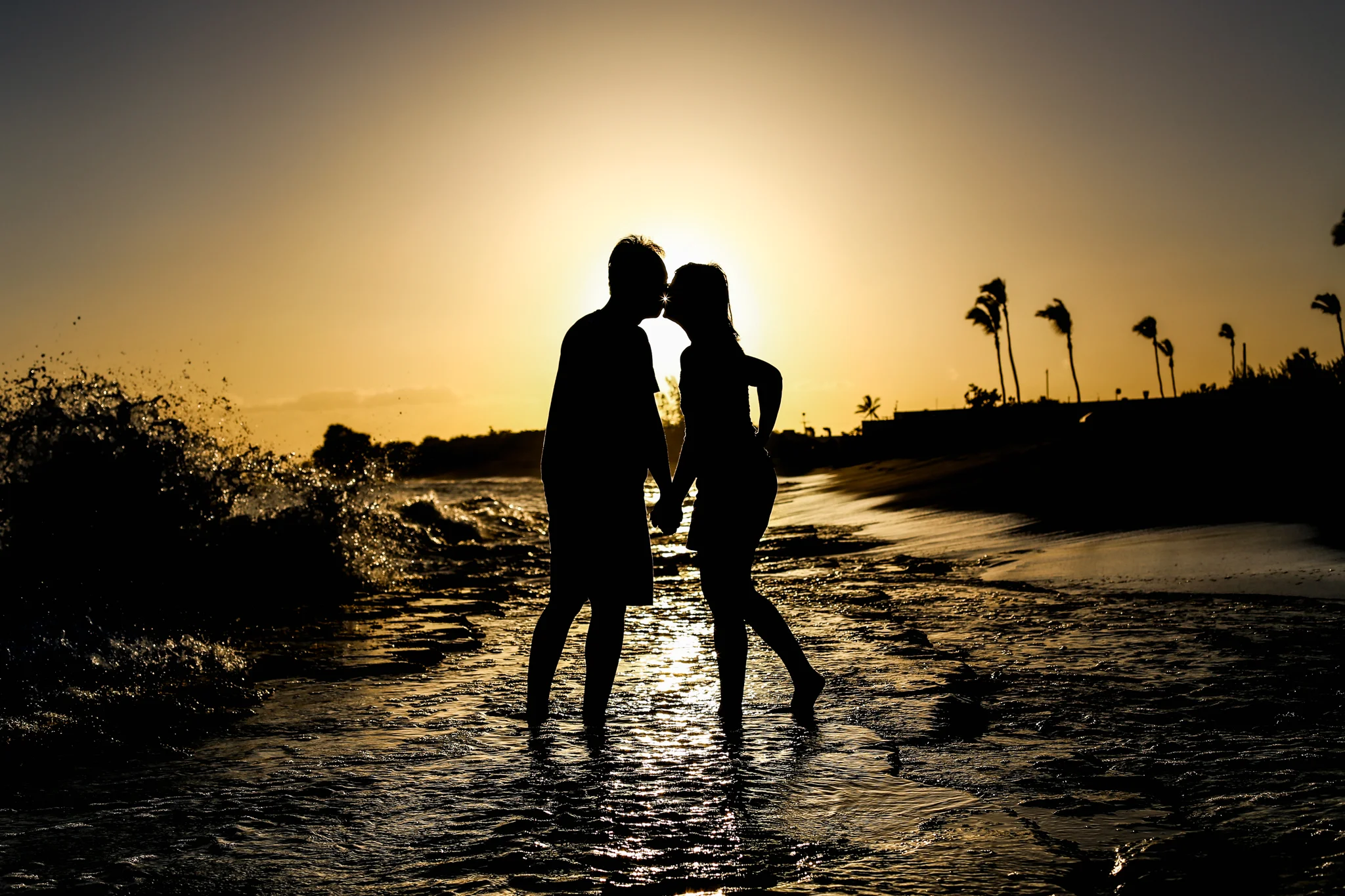 SS silhouettes nimitz beach 3March 25, 2017.jpg