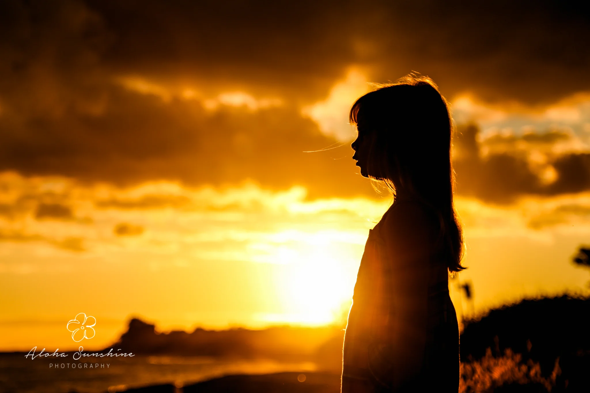 web tracey silhouette sun heart March 16, 2017.jpg