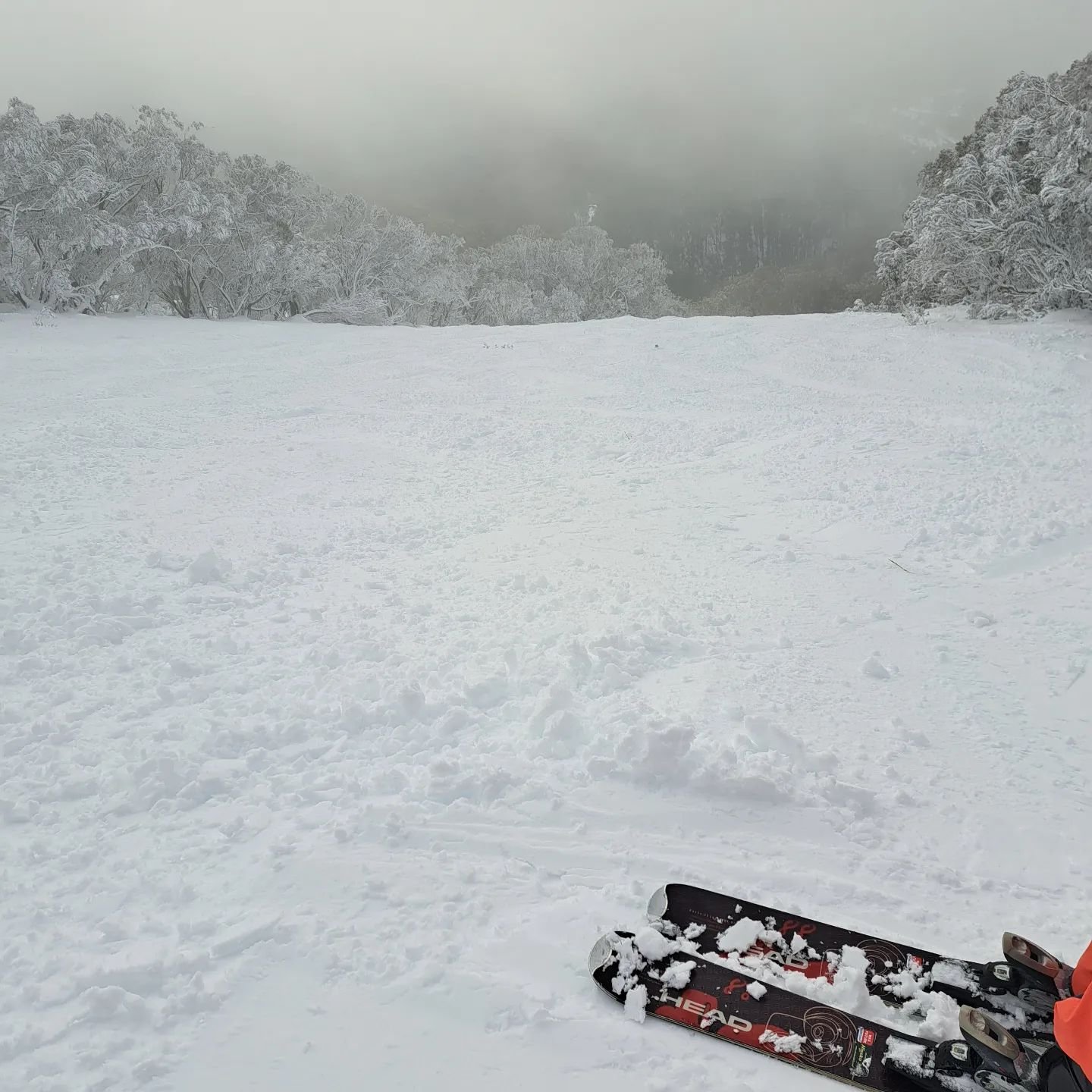 Monday Snowday ❄️❄️❄️🌨☃️

@mt_buller #skiing #boarding #winterwonderland #mountains