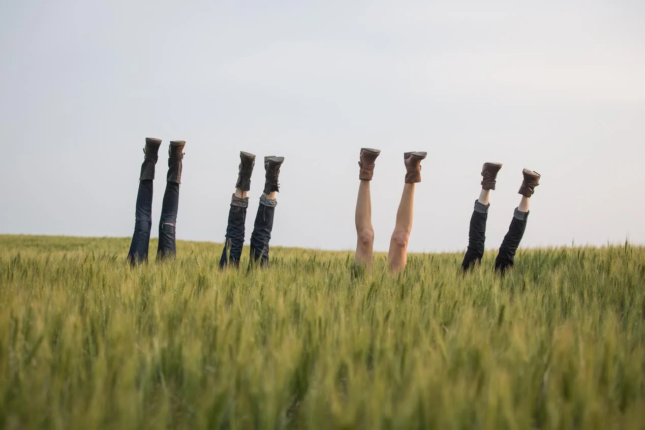 by Garrett Cornelison