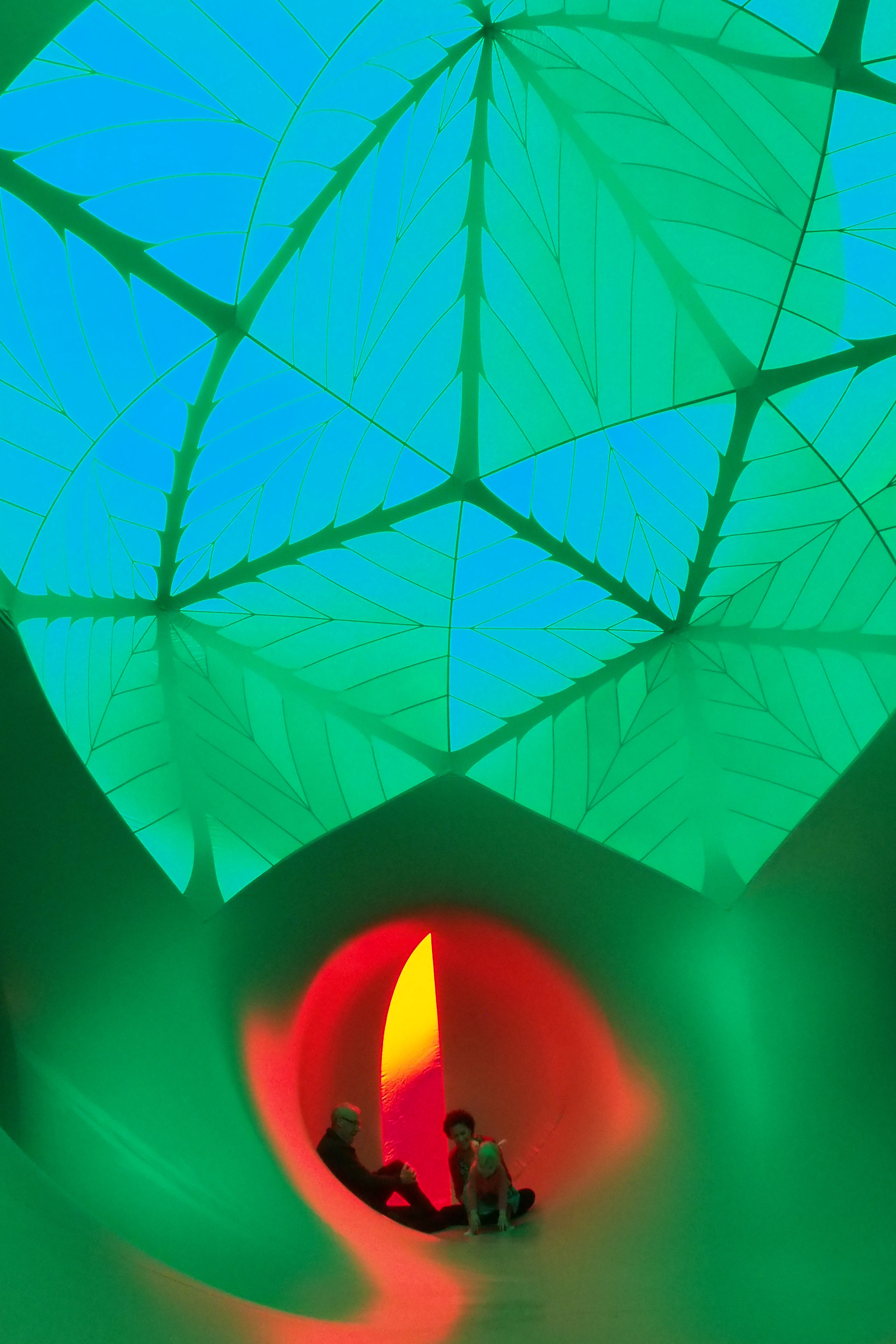 Arboria internal - Green Dome2.jpg