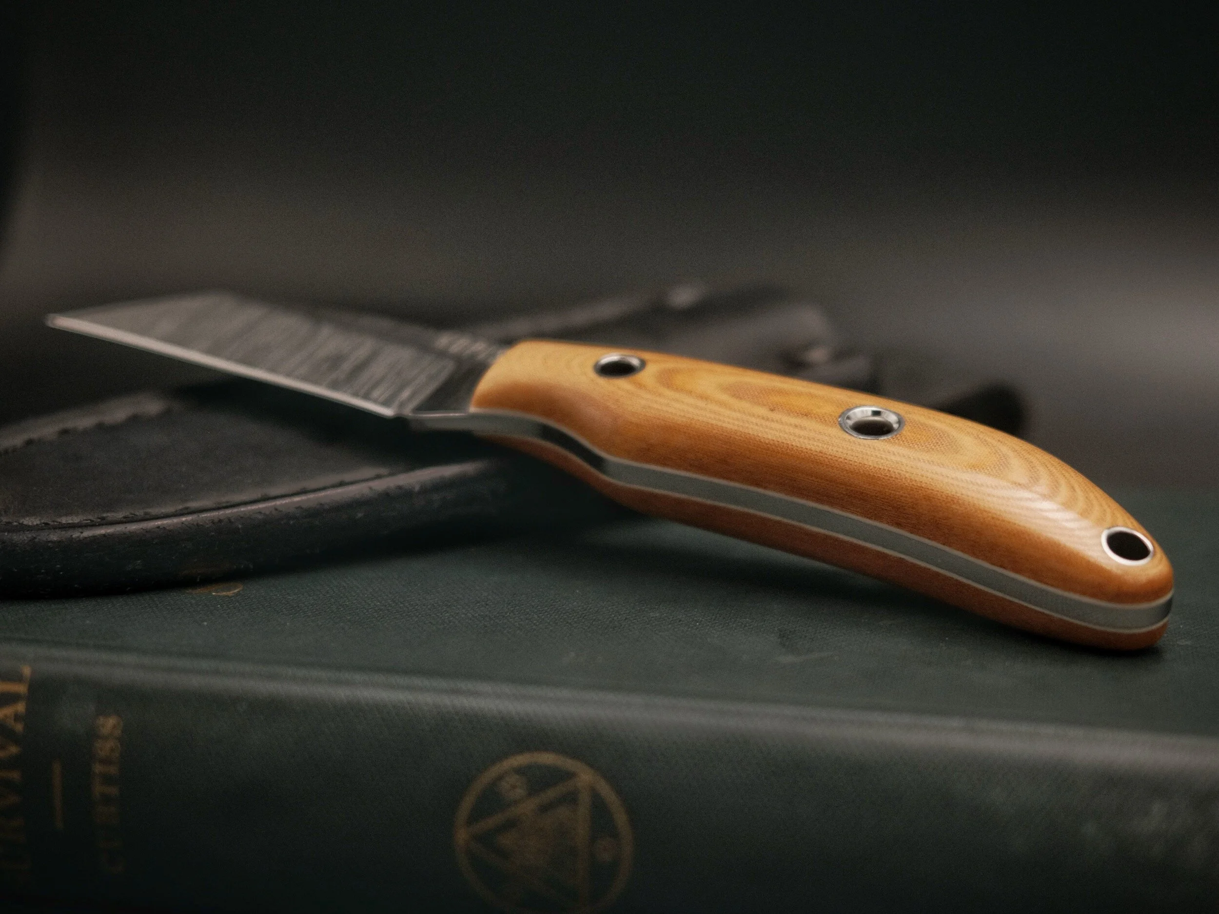 B3BE5E37-F02B-434A-813C-A580AD88AF7F