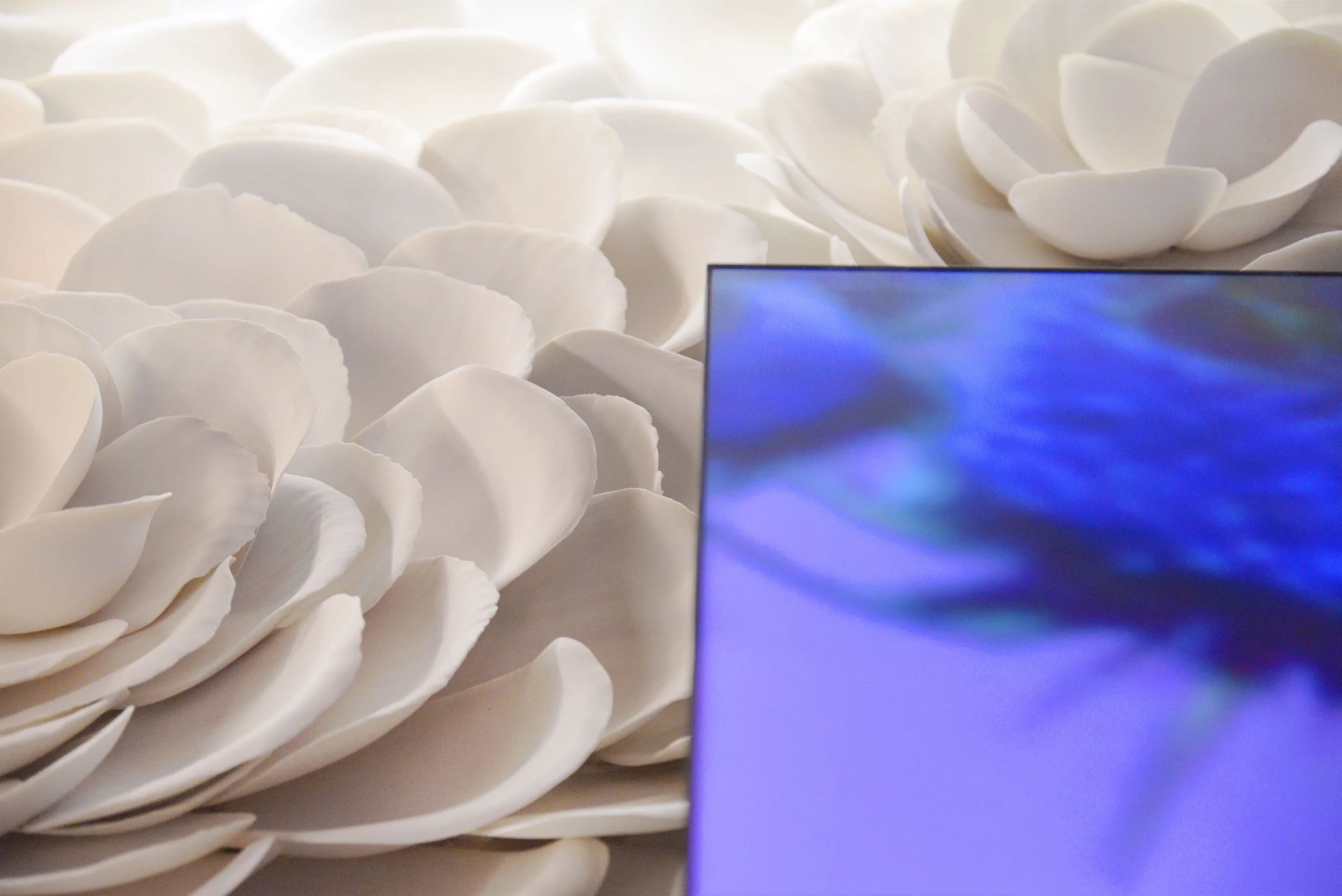 アナログとデジタルの共演