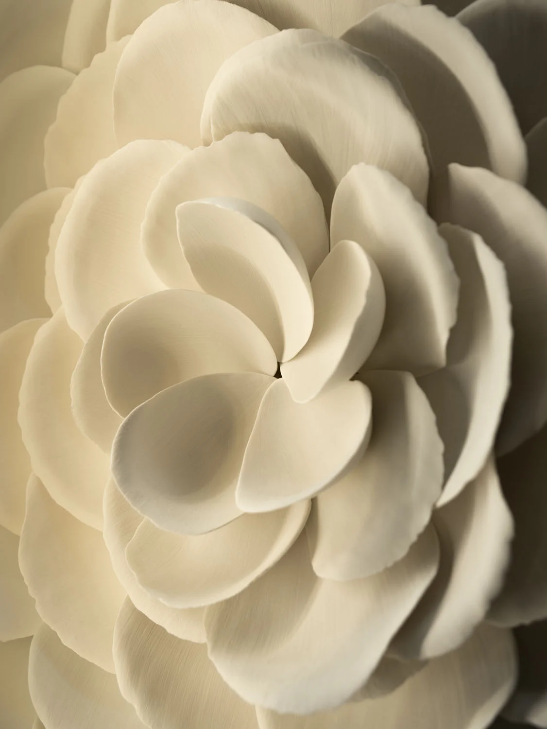 花びらのモチーフ／セラミックアーティスト塩谷氏