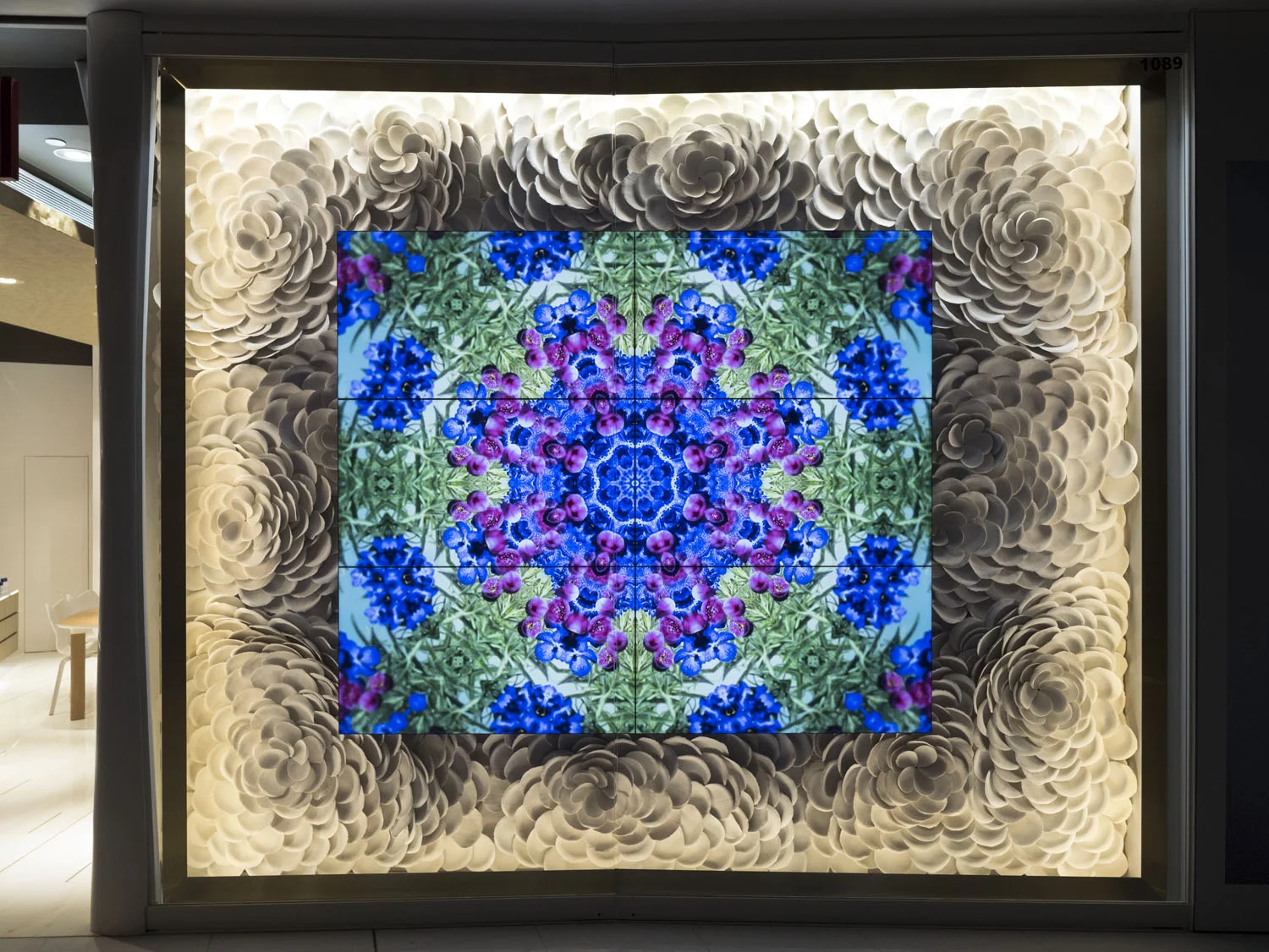 facade window display