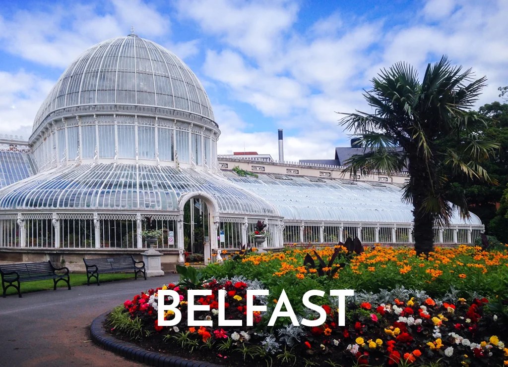 Jennifer Millar in Belfast - Cellular Transformation.jpg