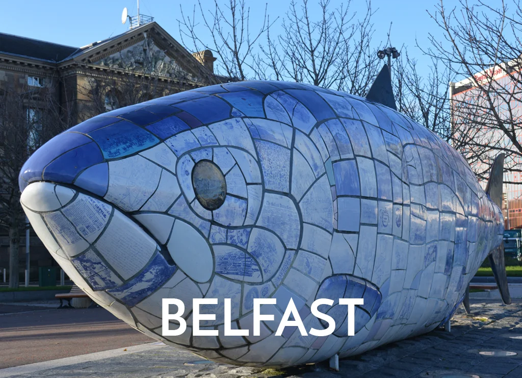 Jennifer Millar in Belfast - Cellular Transformation.jpg