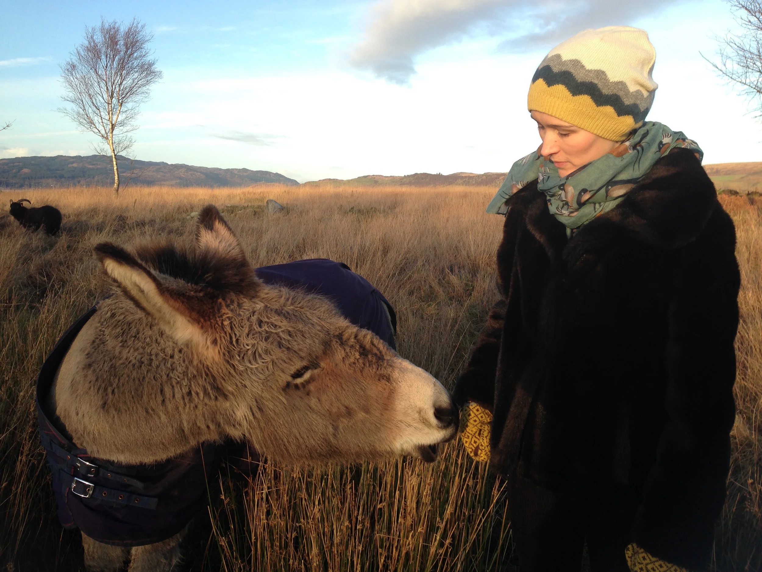 Find out why it is easy to fall in love with Carry Farm