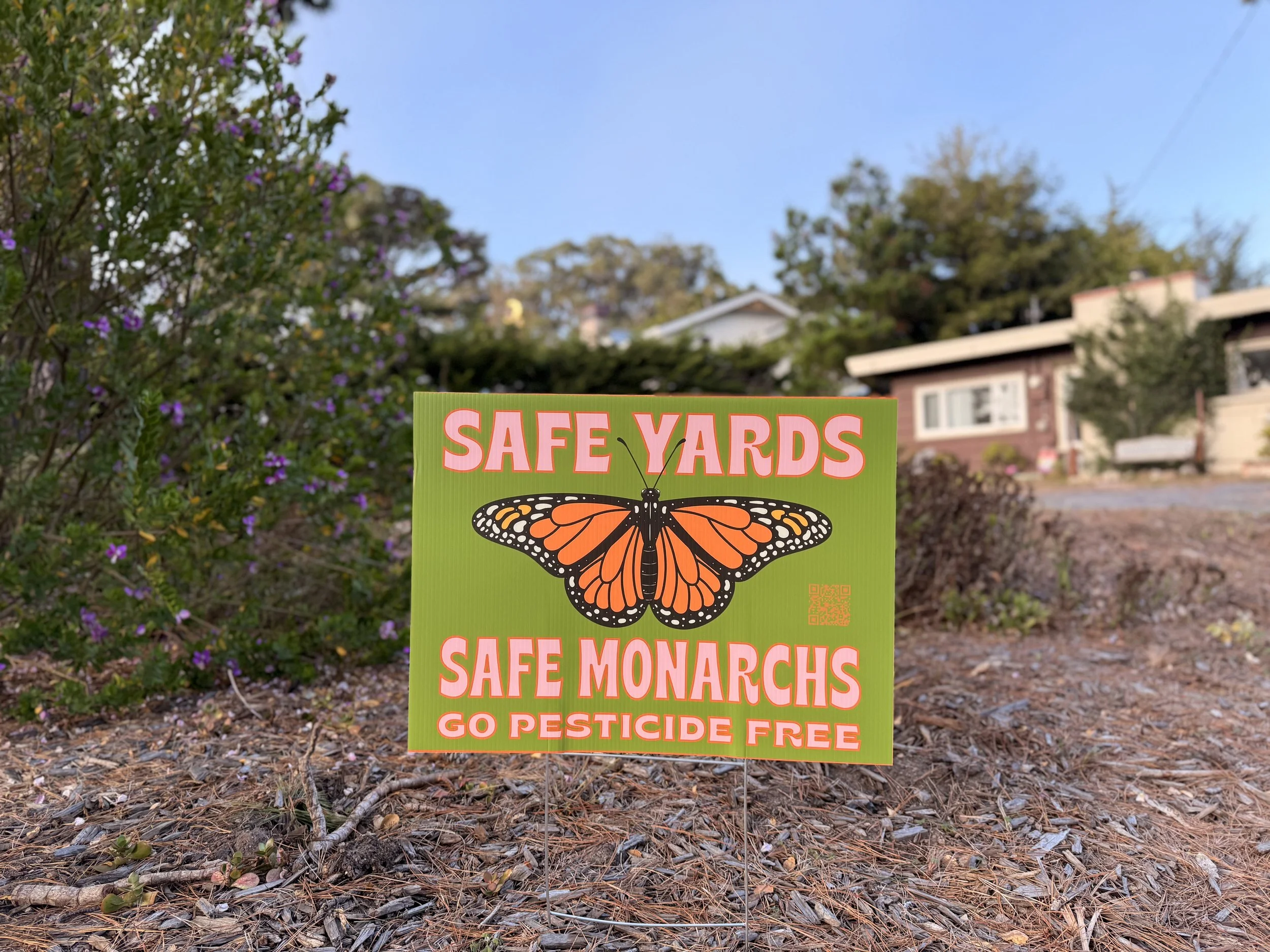 Safe Monarch Yard Sign in Yard.jpg